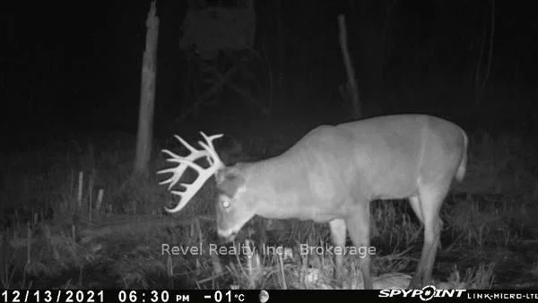 Photo 14 of 17 Diamond Lake Road, Madawaska Valley, Madawaska Valley — HOMEH