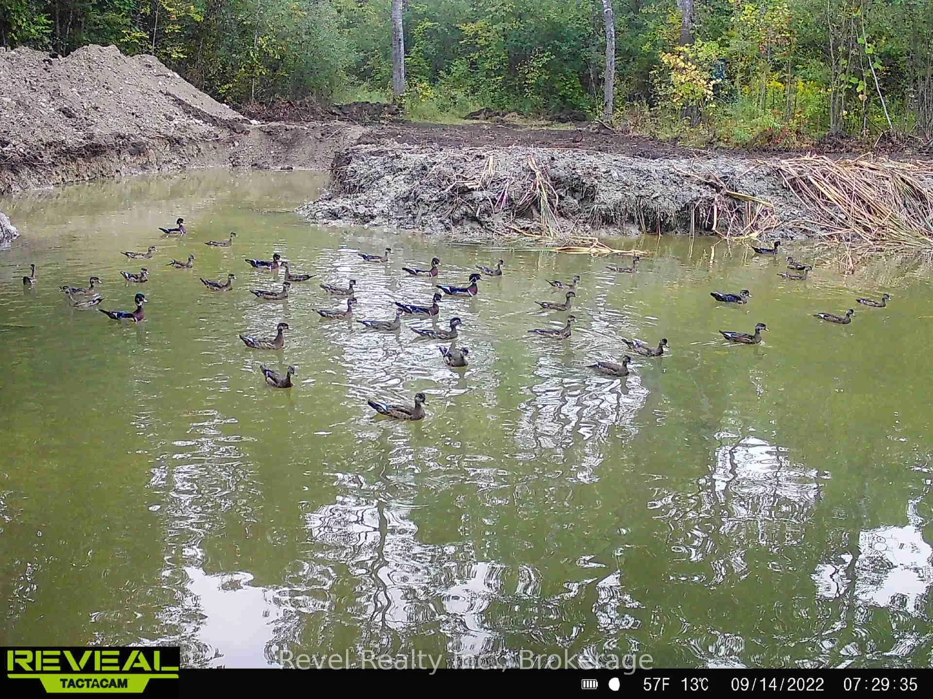 Photo 17 of 17 Diamond Lake Road, Madawaska Valley, Madawaska Valley — HOMEH
