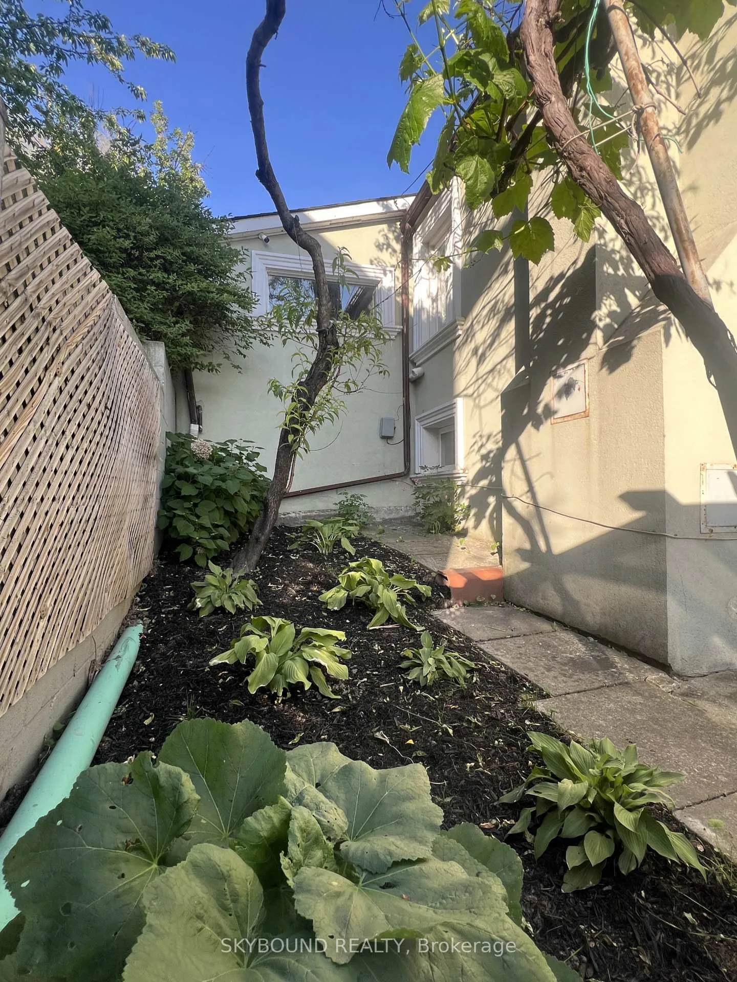 Photo 34 of 358 Silverthorn Avenue, Toronto, Keelesdale-Eglinton West — HOMEH