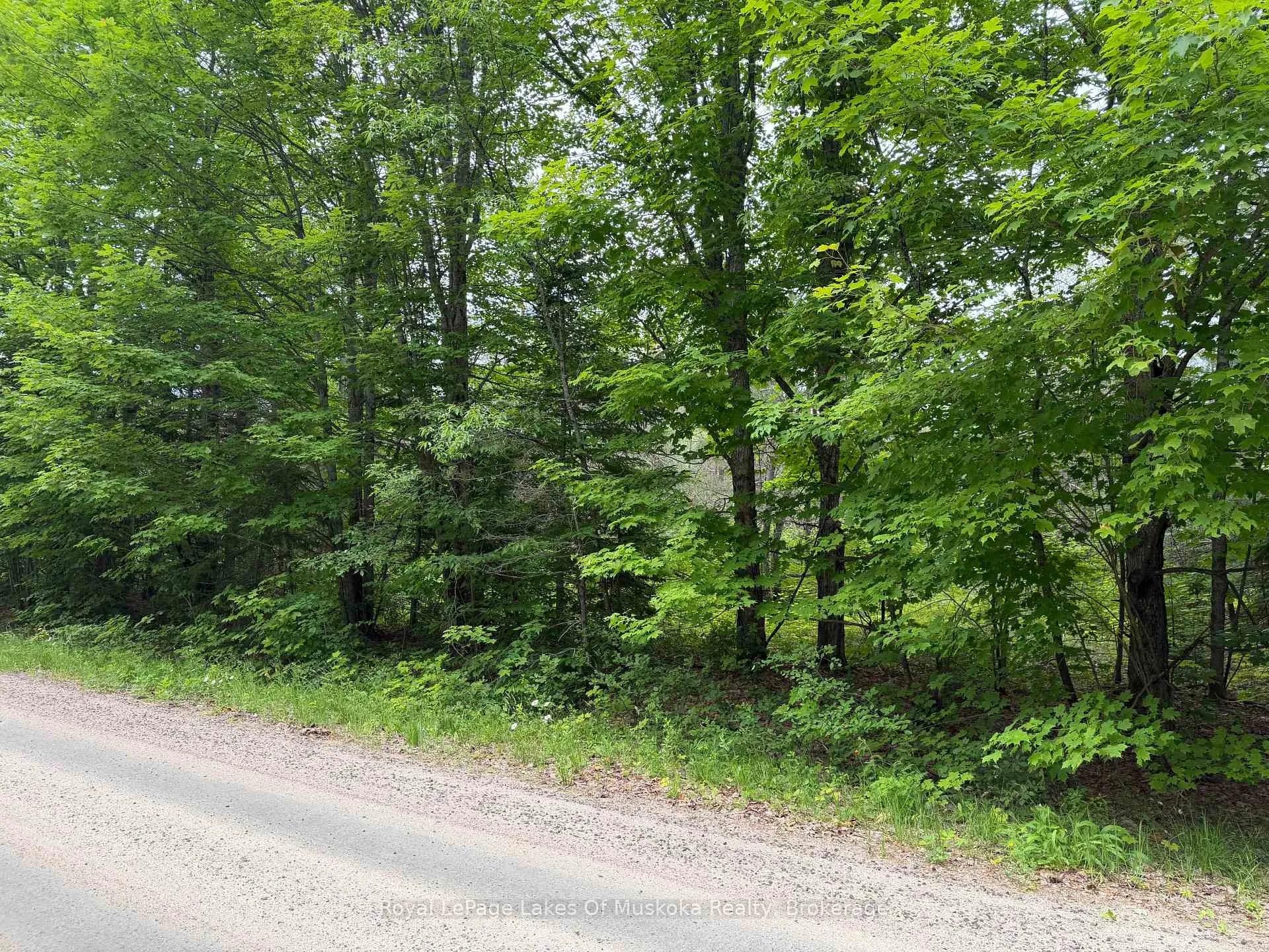Photo 2 of Starratt Road, Ryerson — HOMEH
