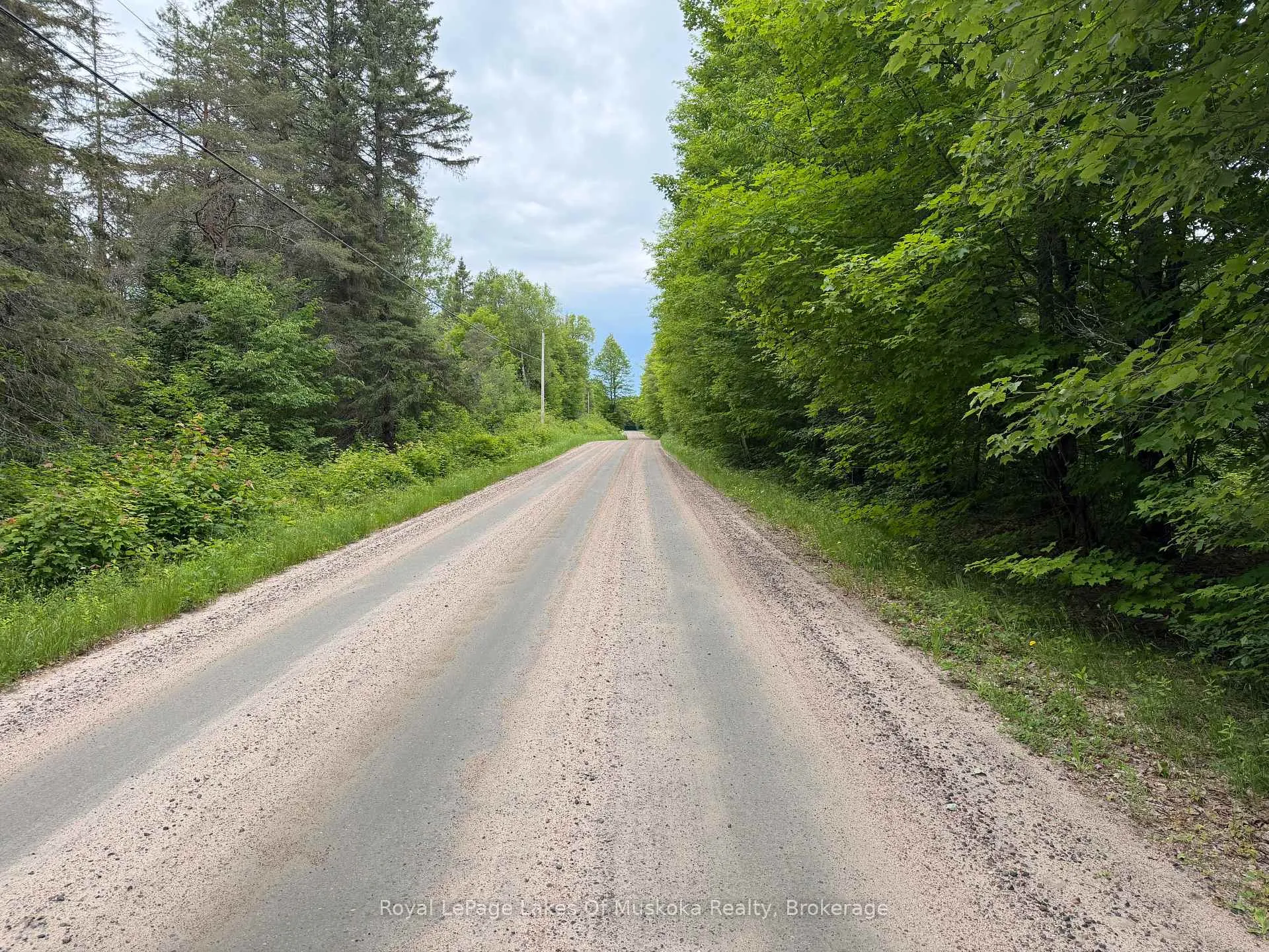 Photo 4 of Starratt Road, Ryerson — HOMEH