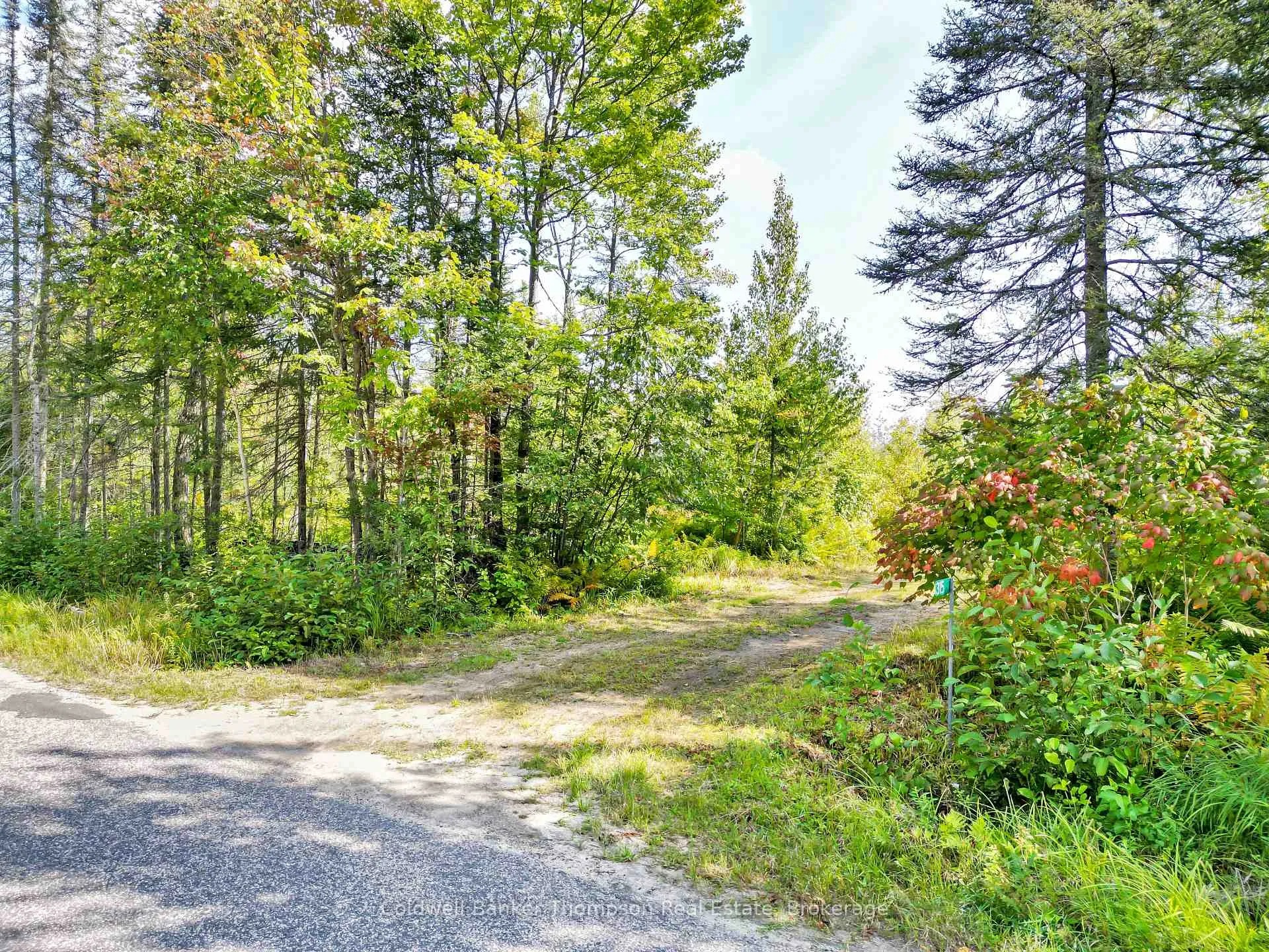 Photo 4 of 315 Scarlett Road, Machar — HOMEH