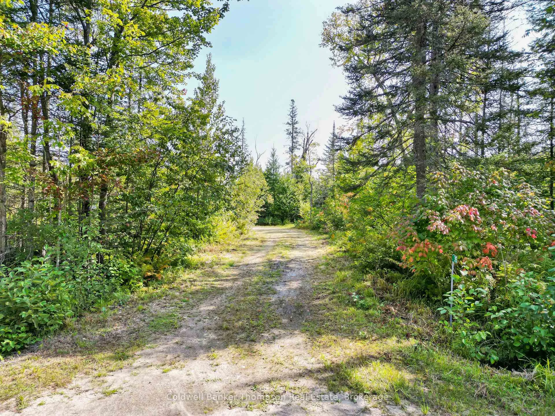 Photo 7 of 315 Scarlett Road, Machar — HOMEH