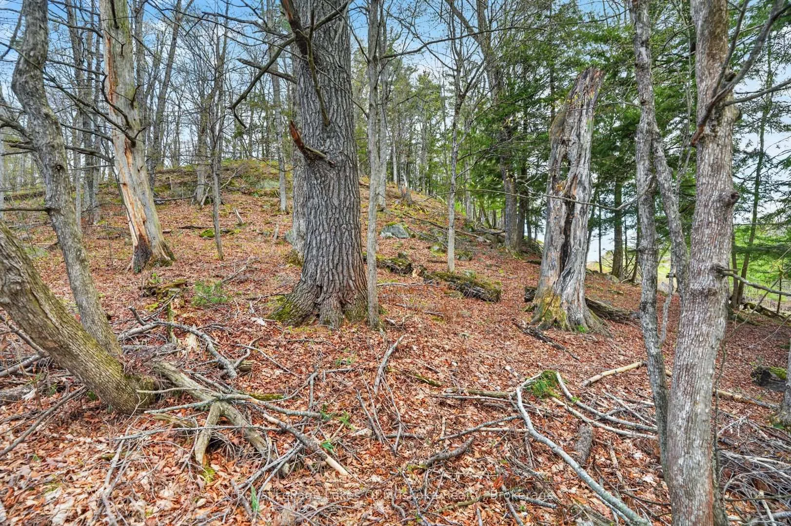 Photo 2 of 32 Gainsborough Road, Bracebridge, Monck (Bracebridge) — HOMEH
