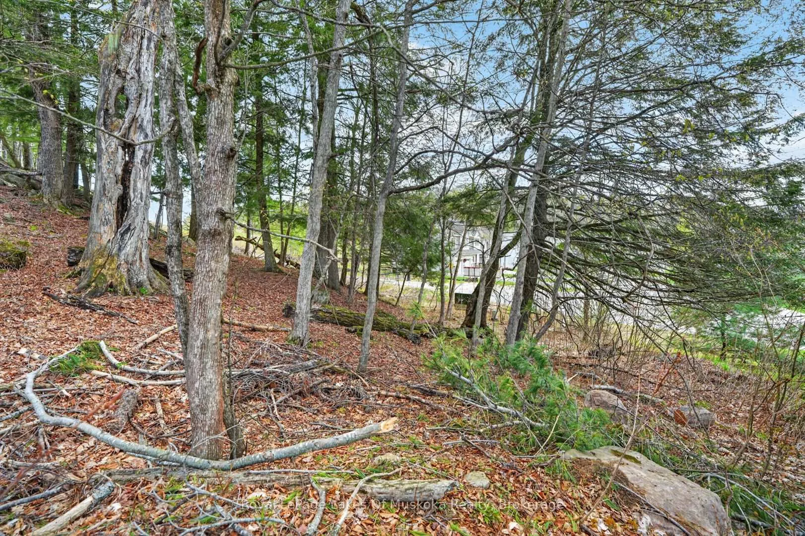 Photo 3 of 32 Gainsborough Road, Bracebridge, Monck (Bracebridge) — HOMEH