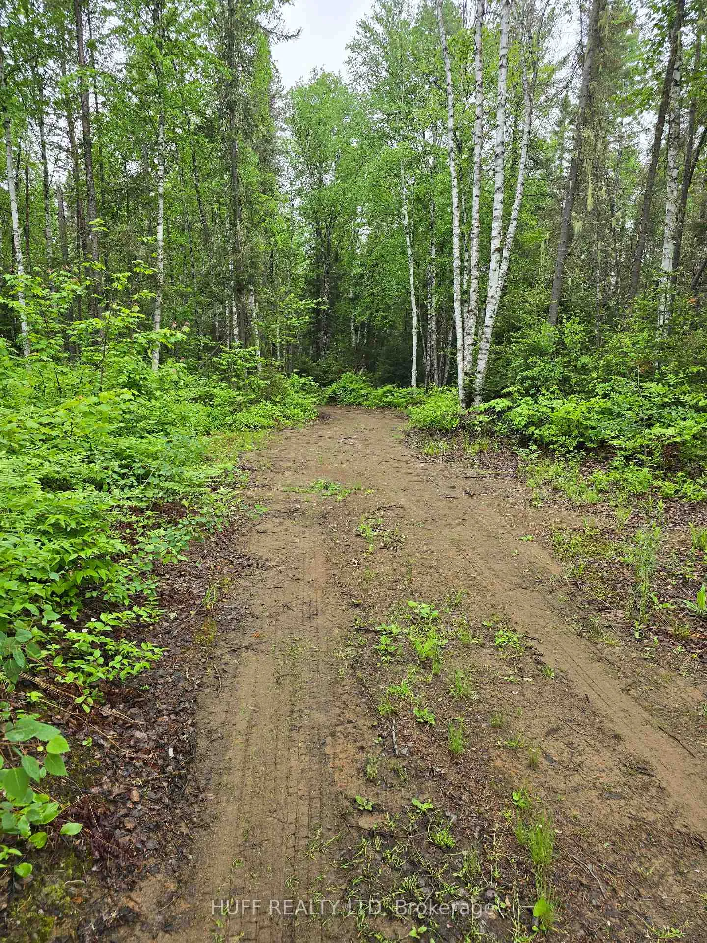 Photo 8 of L33207 Mining Claim, Kirkland Lake, Larder Lake — HOMEH