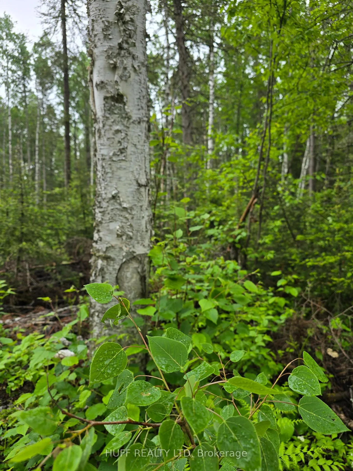 Photo 9 of L33207 Mining Claim, Kirkland Lake, Larder Lake — HOMEH