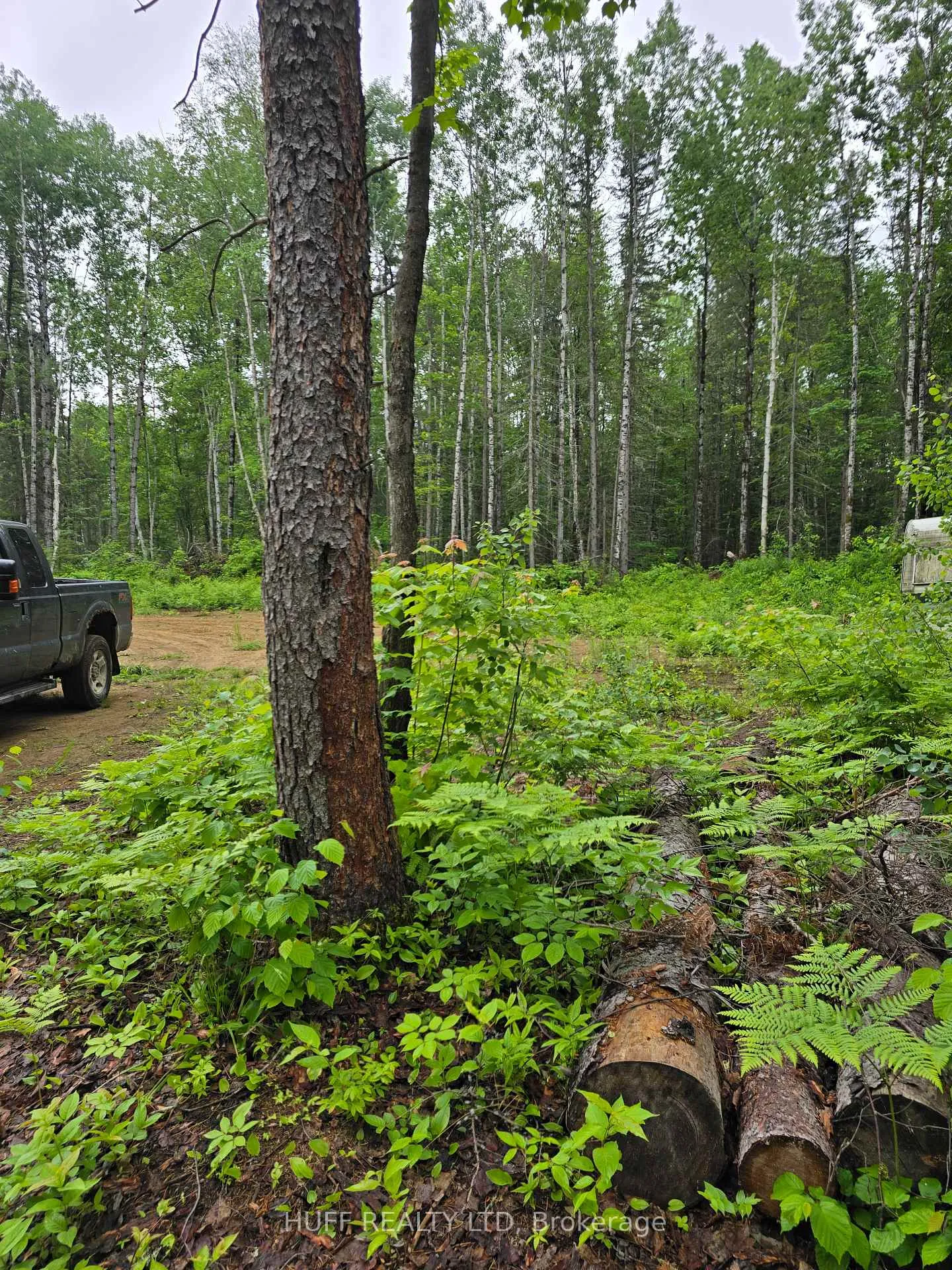 Photo 10 of L33207 Mining Claim, Kirkland Lake, Larder Lake — HOMEH