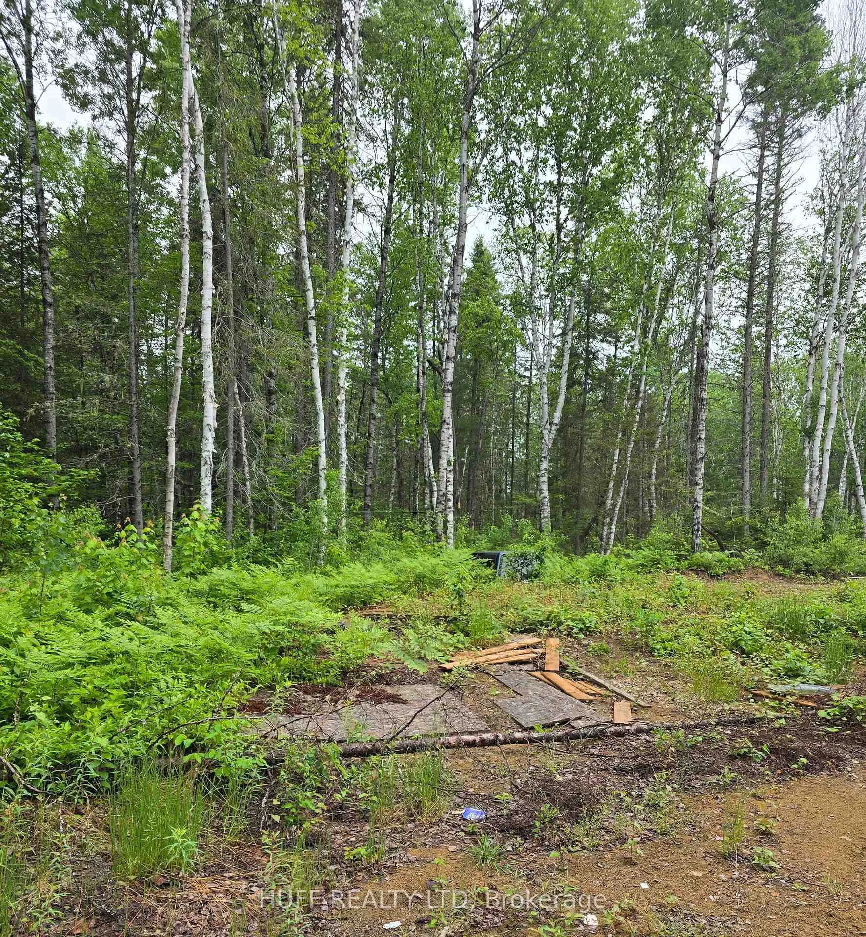 Photo 11 of L33207 Mining Claim, Kirkland Lake, Larder Lake — HOMEH