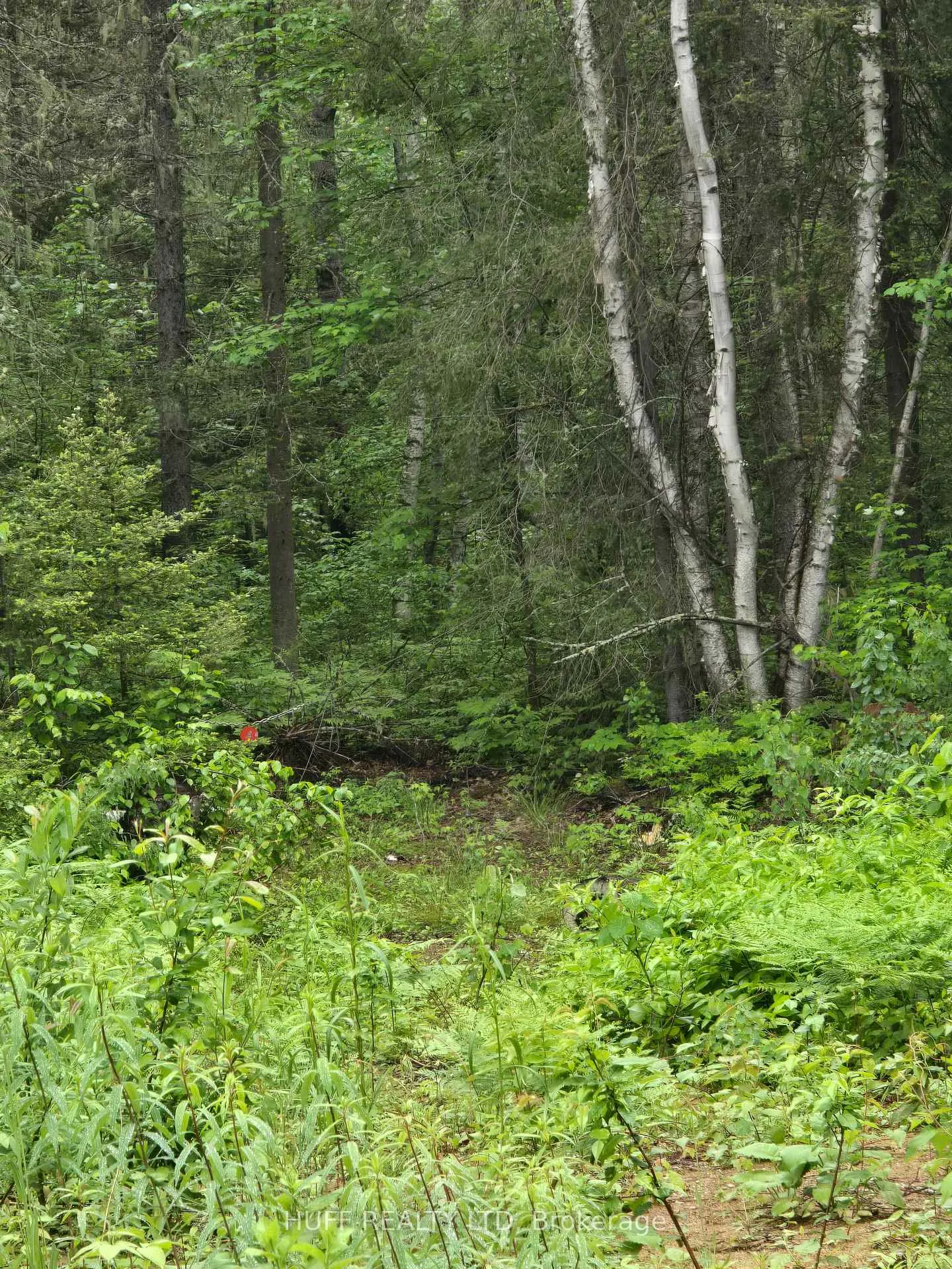 Photo 12 of L33207 Mining Claim, Kirkland Lake, Larder Lake — HOMEH