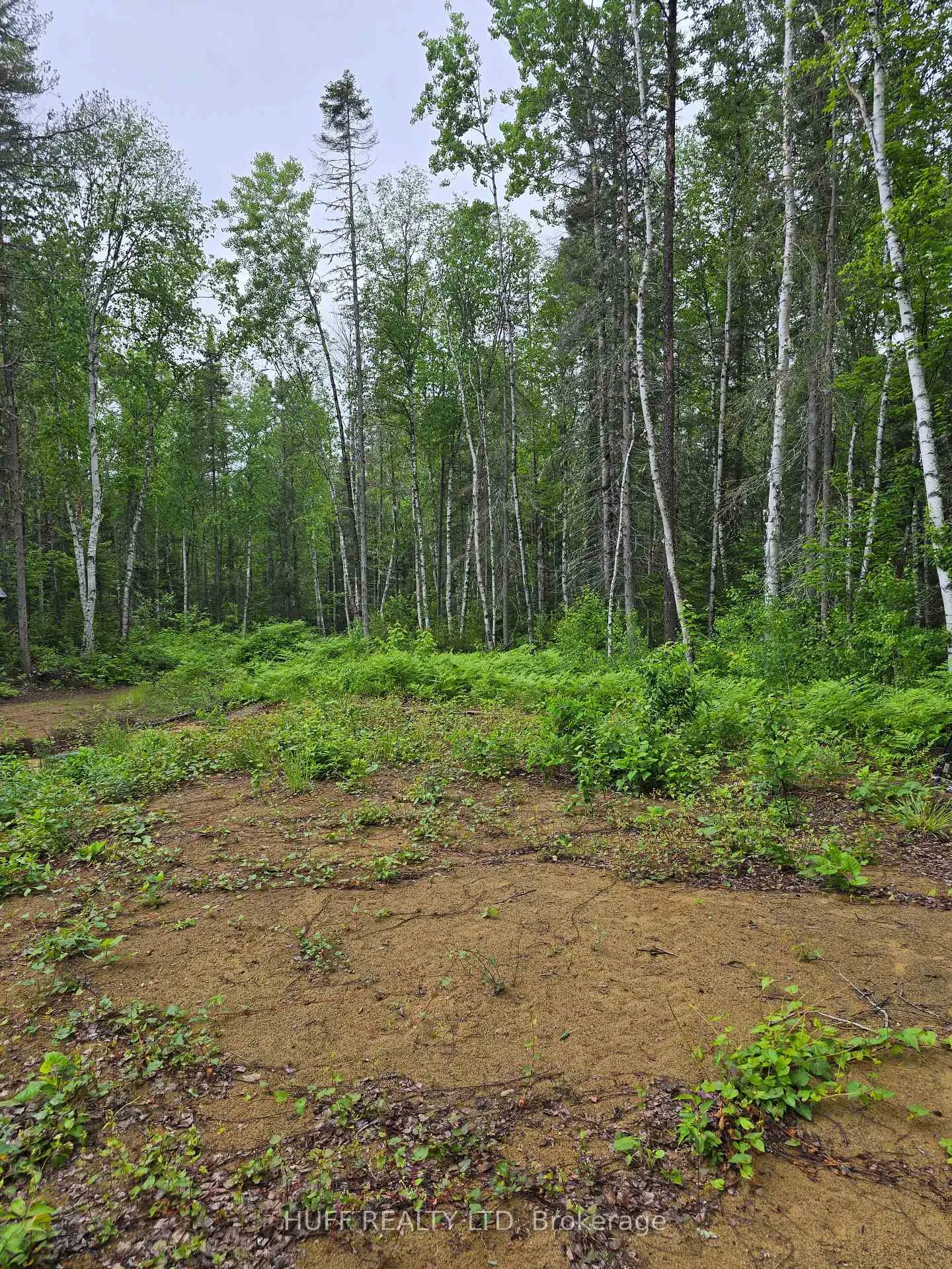 Photo 14 of L33207 Mining Claim, Kirkland Lake, Larder Lake — HOMEH