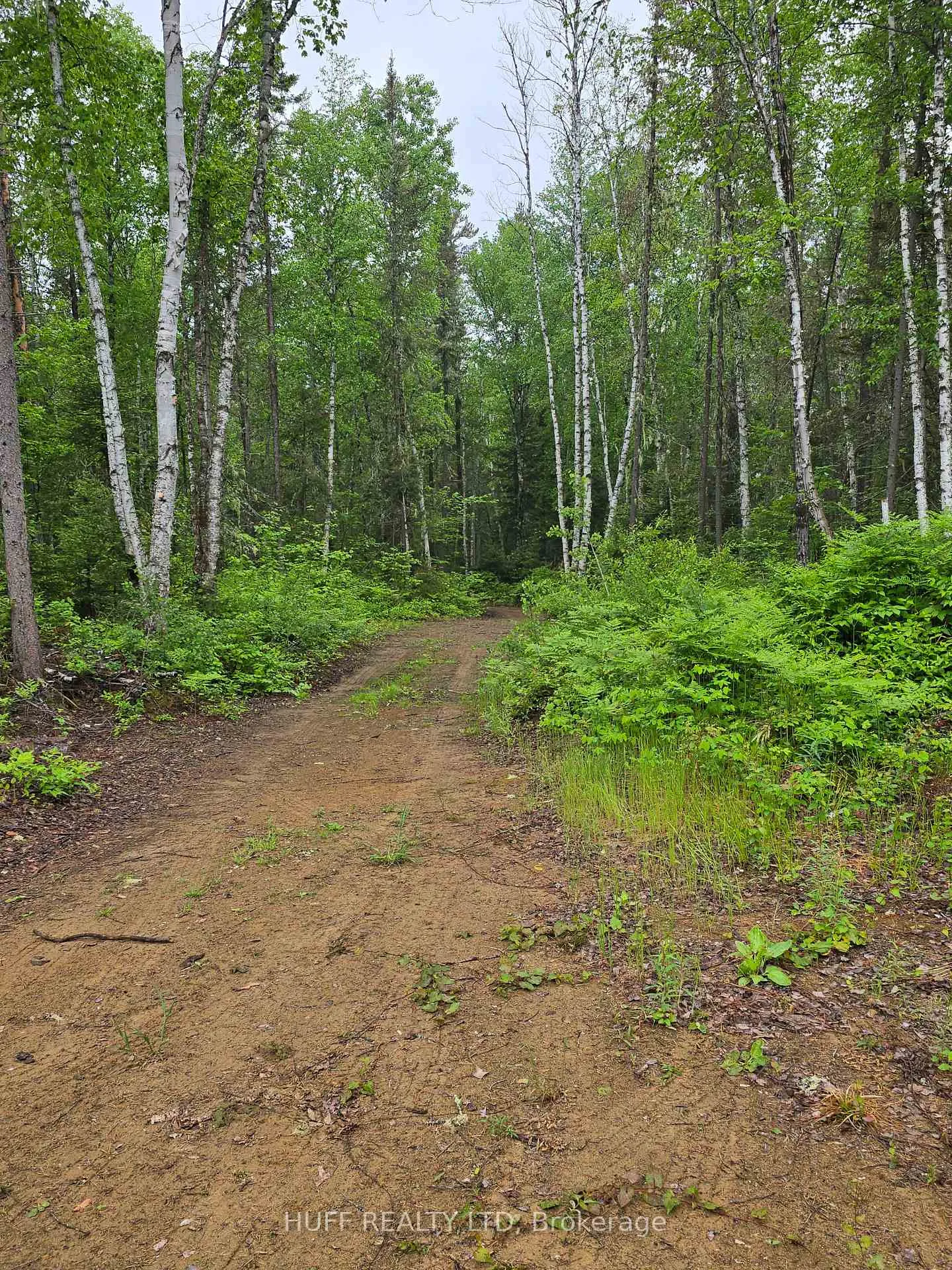 Photo 21 of L33207 Mining Claim, Kirkland Lake, Larder Lake — HOMEH