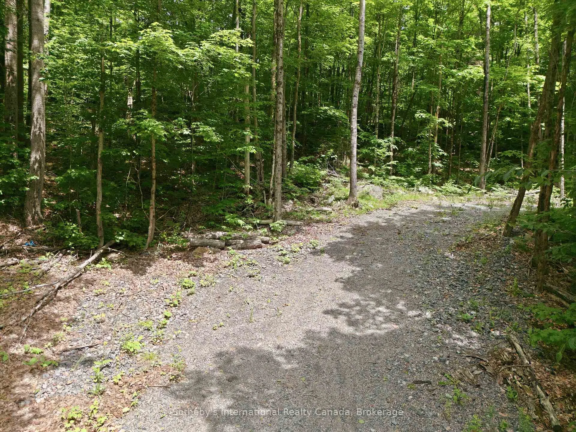 Photo 4 of 1731 Fraserburg Road, Bracebridge, Draper — HOMEH