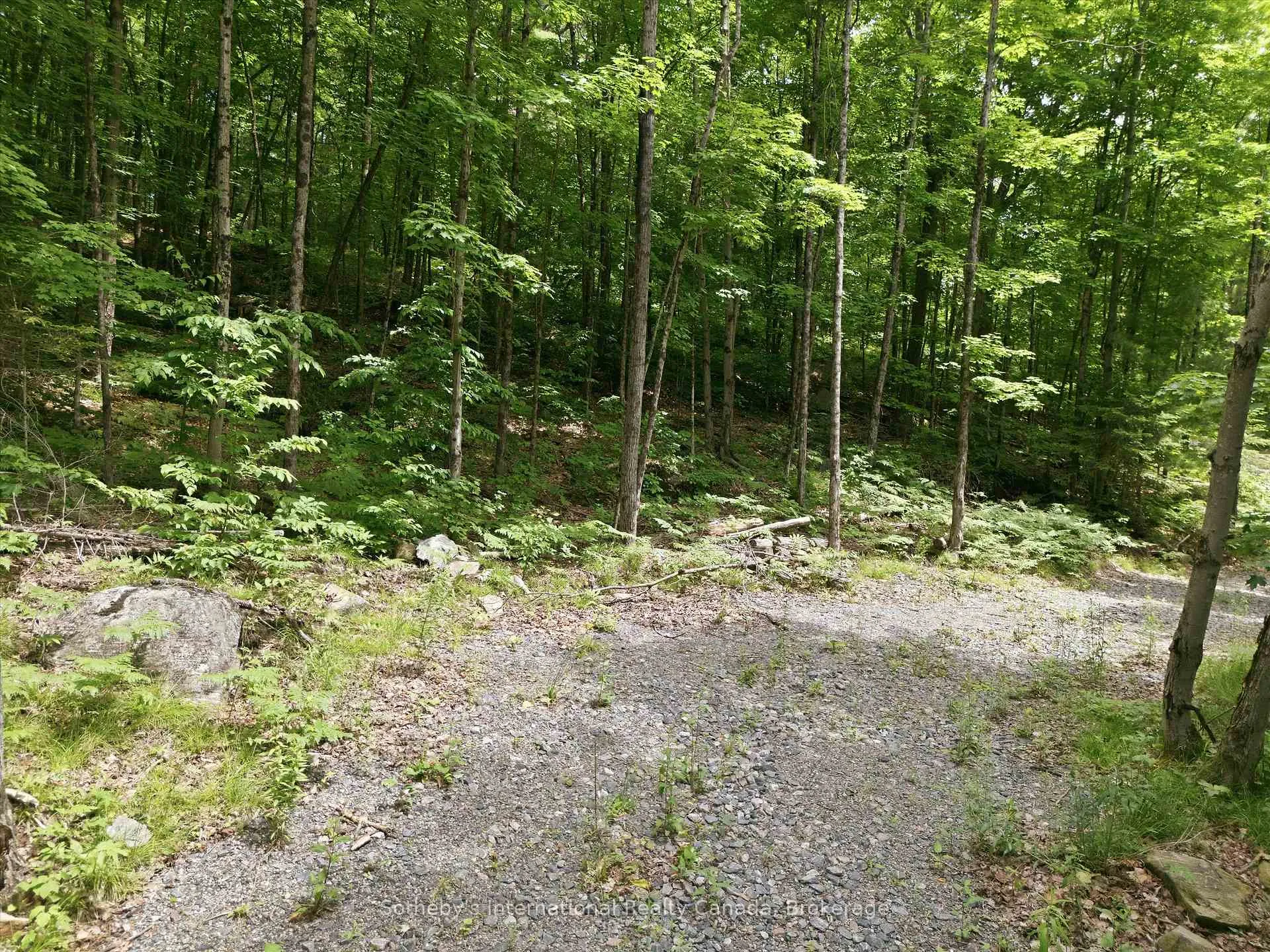 Photo 6 of 1731 Fraserburg Road, Bracebridge, Draper — HOMEH