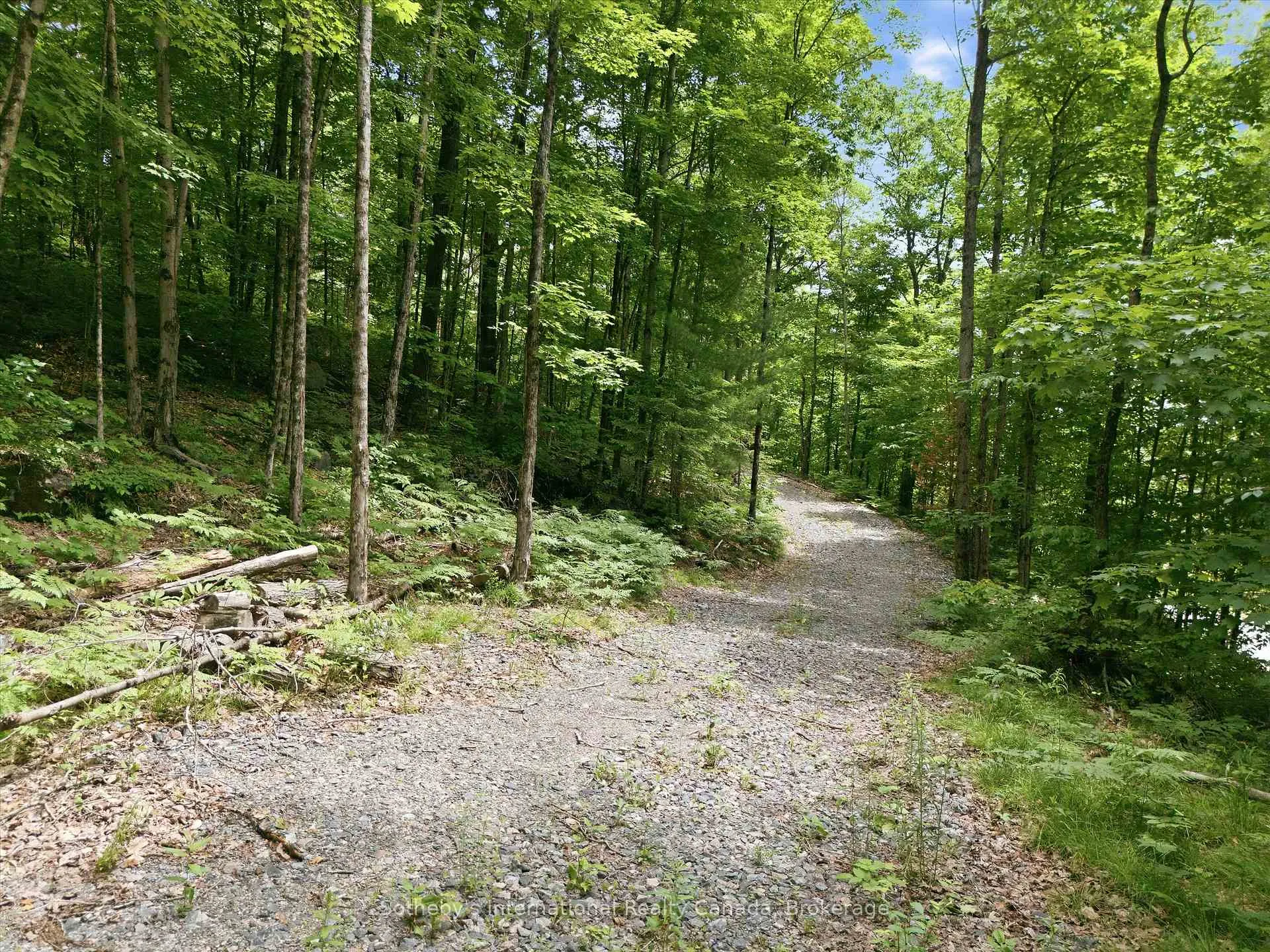 Photo 7 of 1731 Fraserburg Road, Bracebridge, Draper — HOMEH