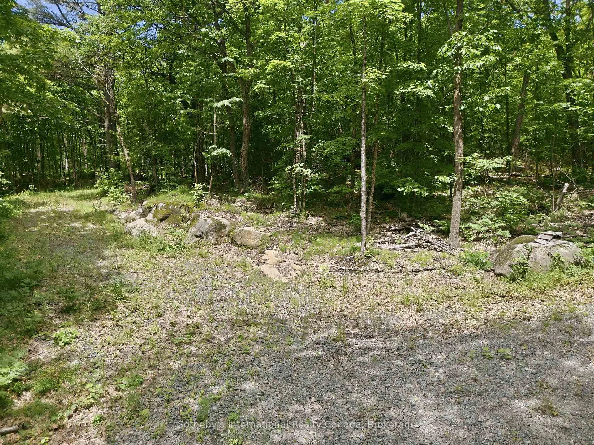 Photo 8 of 1731 Fraserburg Road, Bracebridge, Draper — HOMEH
