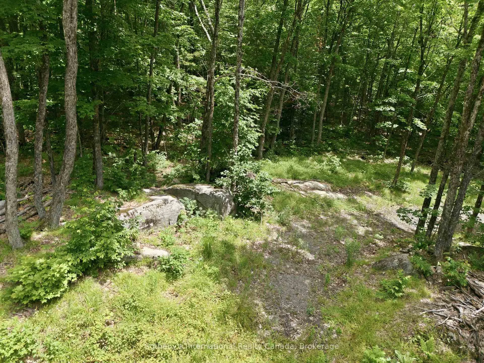 Photo 11 of 1731 Fraserburg Road, Bracebridge, Draper — HOMEH