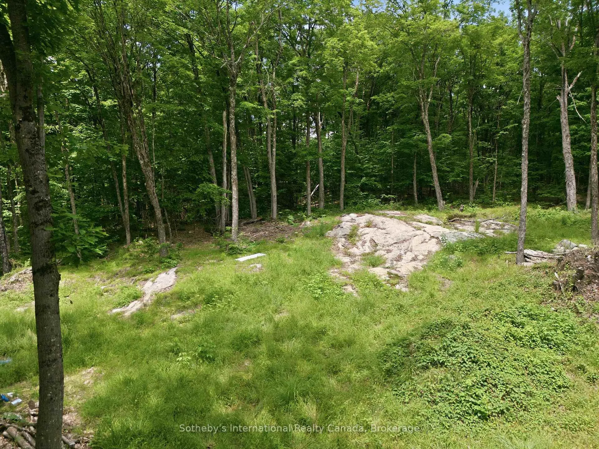 Photo 14 of 1731 Fraserburg Road, Bracebridge, Draper — HOMEH
