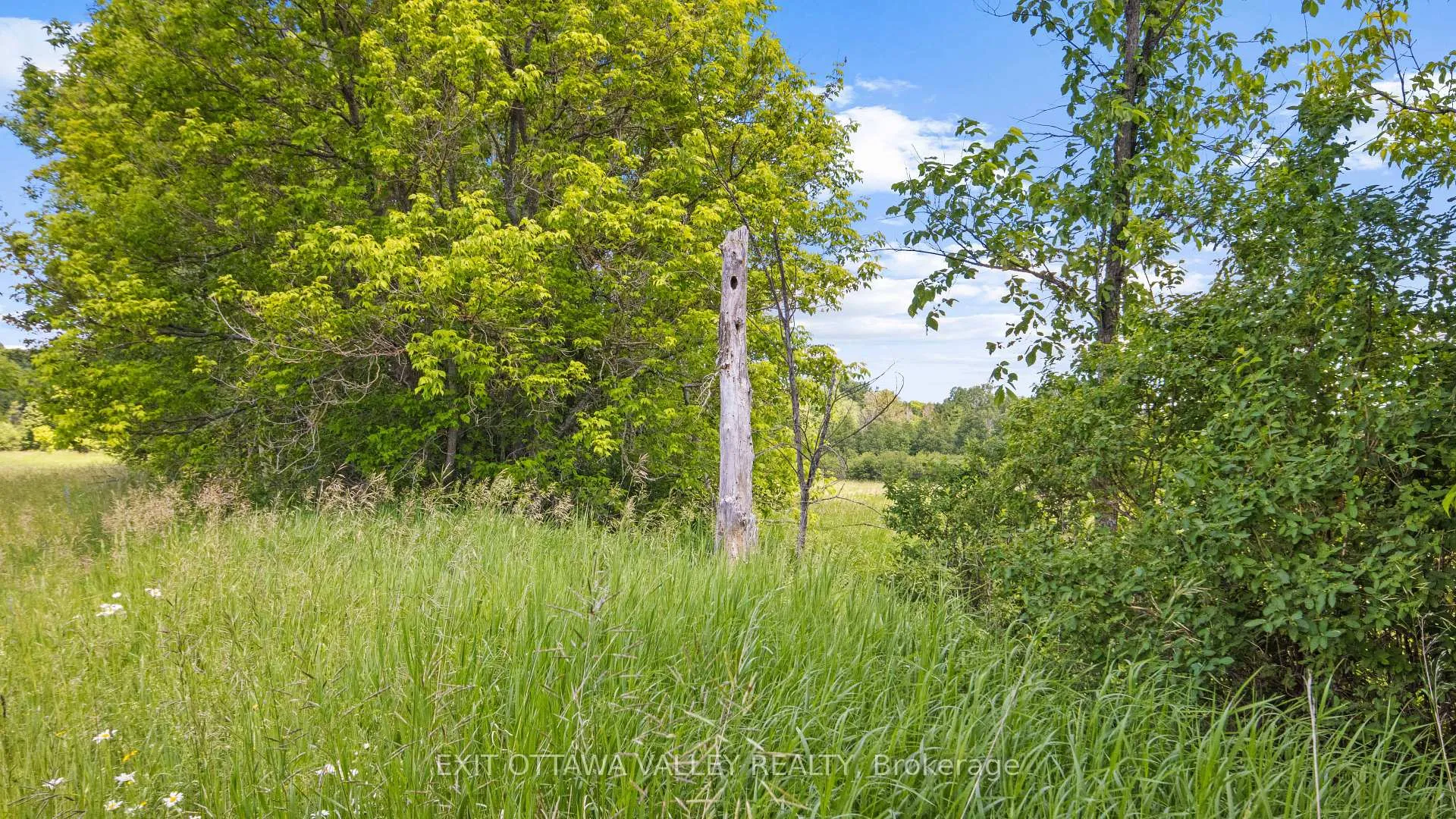Photo 3 of 3510 Foymount Road, Bonnechere Valley, Eganville/Bonnechere Twp — HOMEH