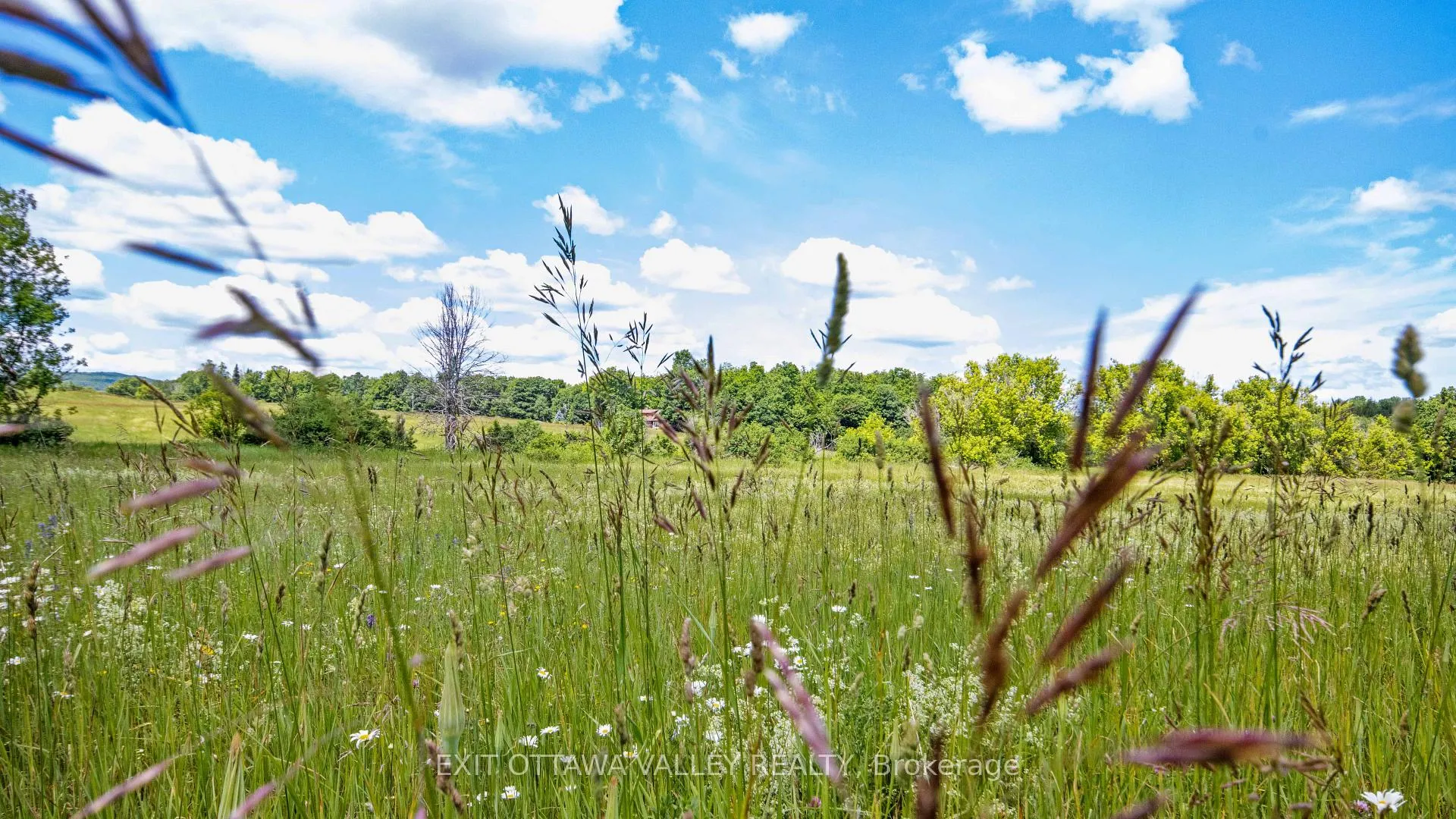 Photo 23 of 3510 Foymount Road, Bonnechere Valley, Eganville/Bonnechere Twp — HOMEH