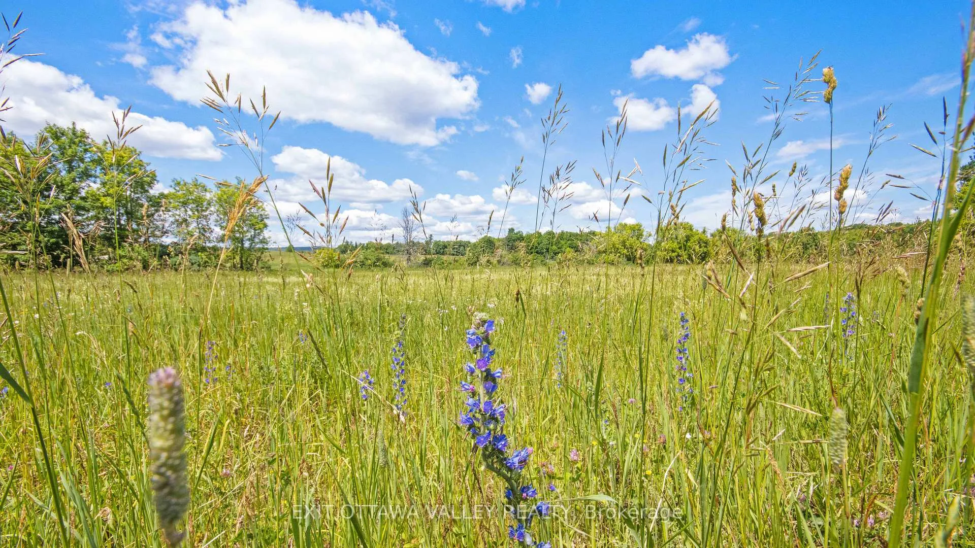 Photo 26 of 3510 Foymount Road, Bonnechere Valley, Eganville/Bonnechere Twp — HOMEH