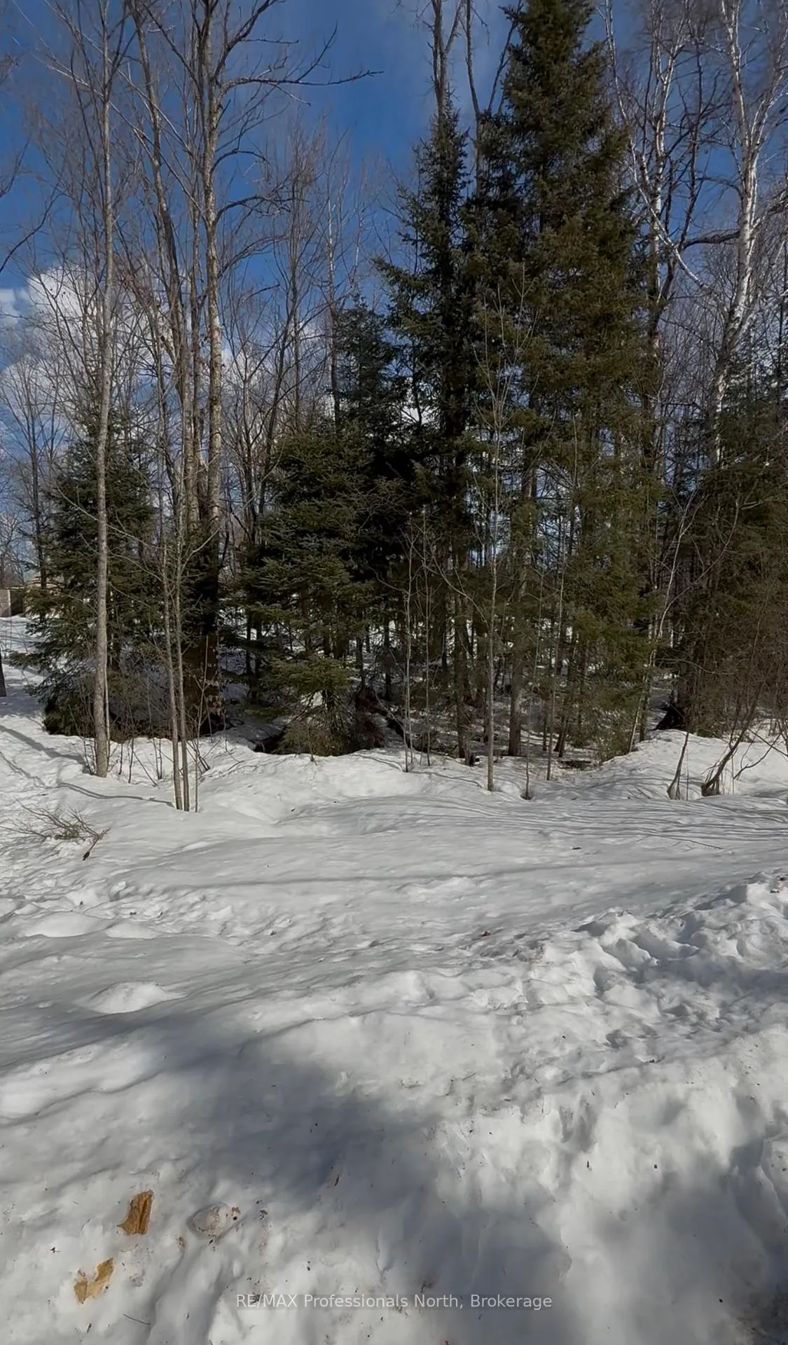 Photo 4 of Redam Drive, McMurrich/Monteith, Bear Lake — HOMEH