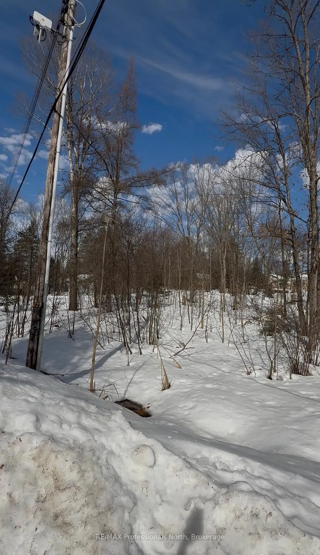 Photo 5 of Redam Drive, McMurrich/Monteith, Bear Lake — HOMEH
