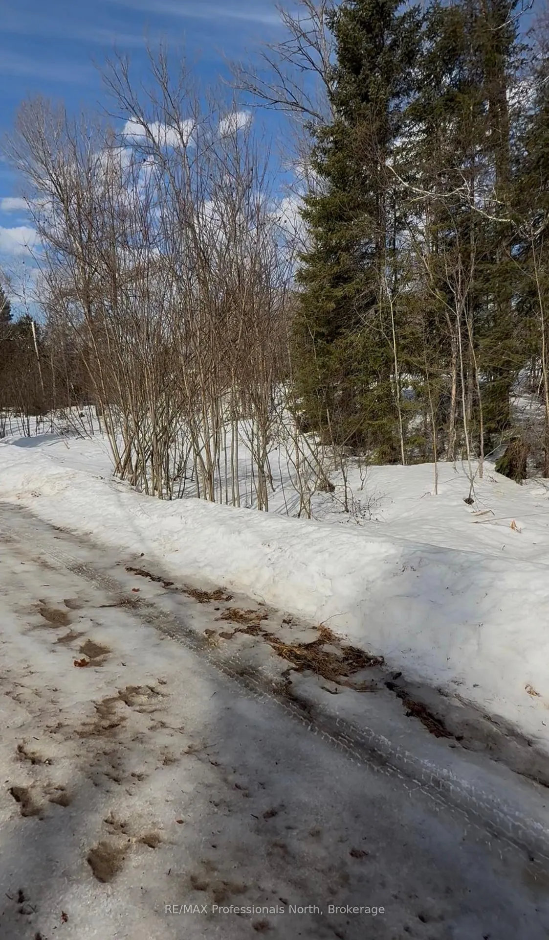 Photo 7 of Redam Drive, McMurrich/Monteith, Bear Lake — HOMEH