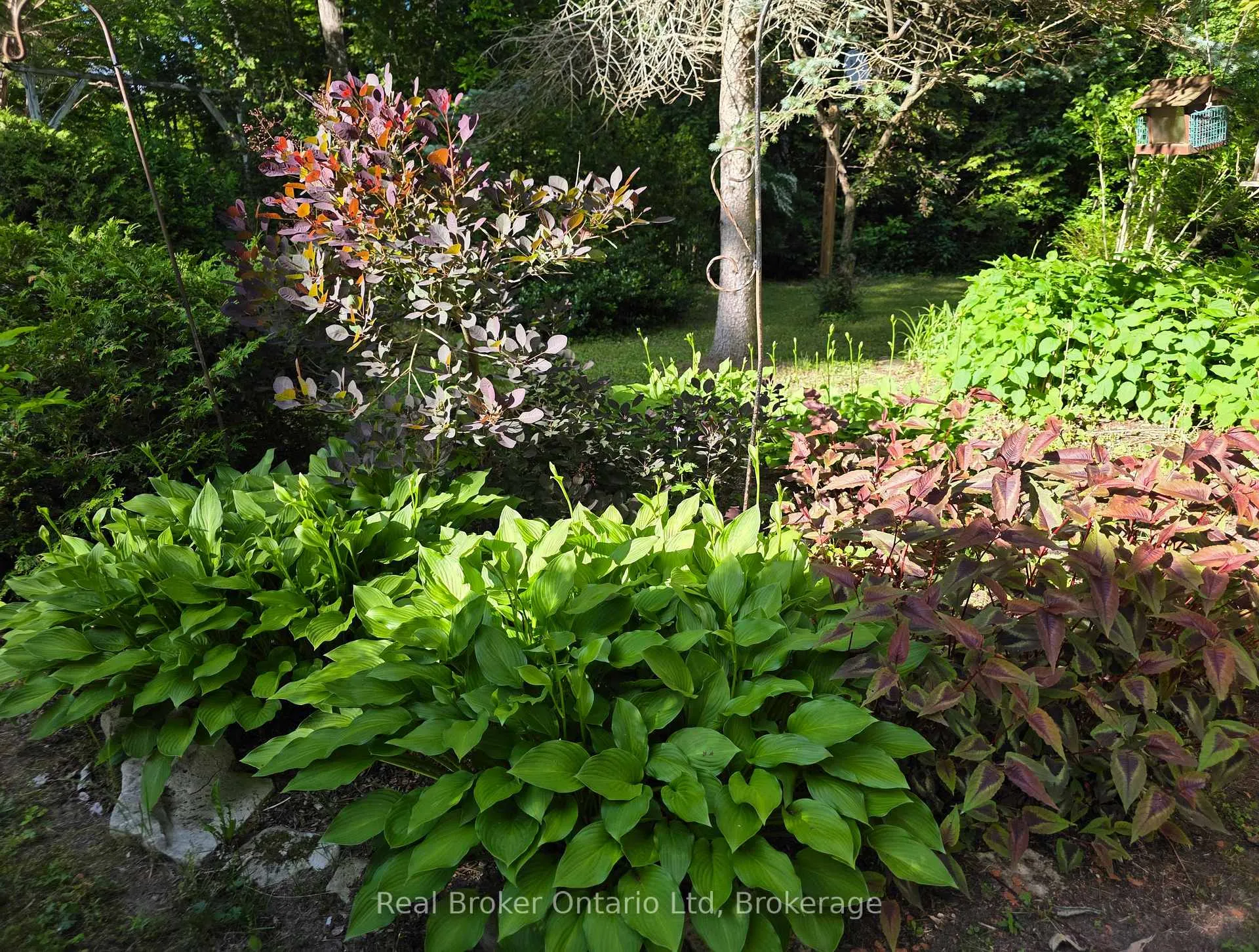 Photo 33 of 9 Burton Crescent S, South Bruce Peninsula — HOMEH