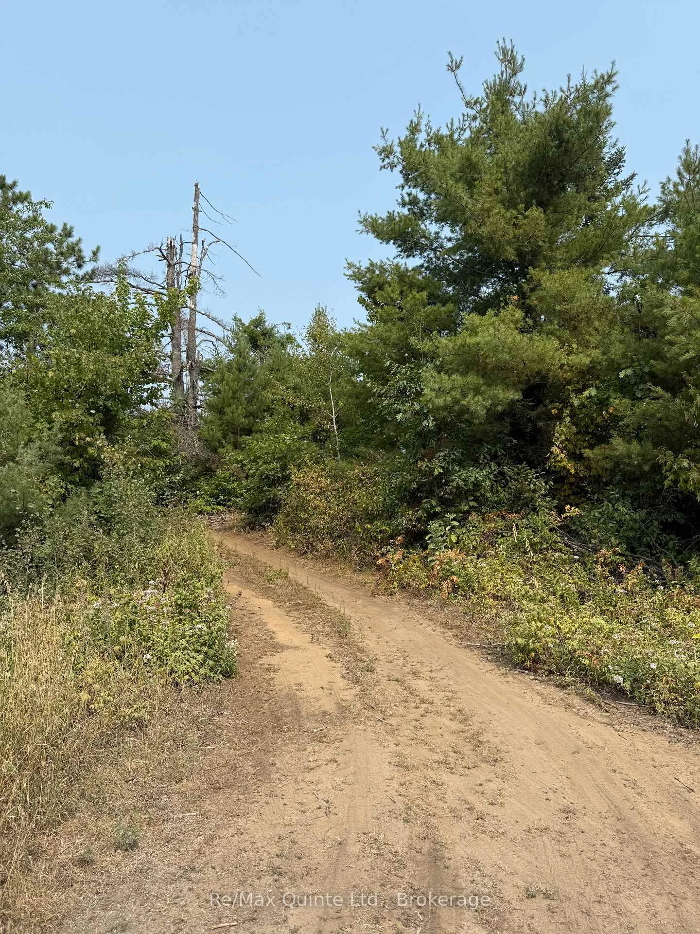 Photo of 0 Potter Settlement Road