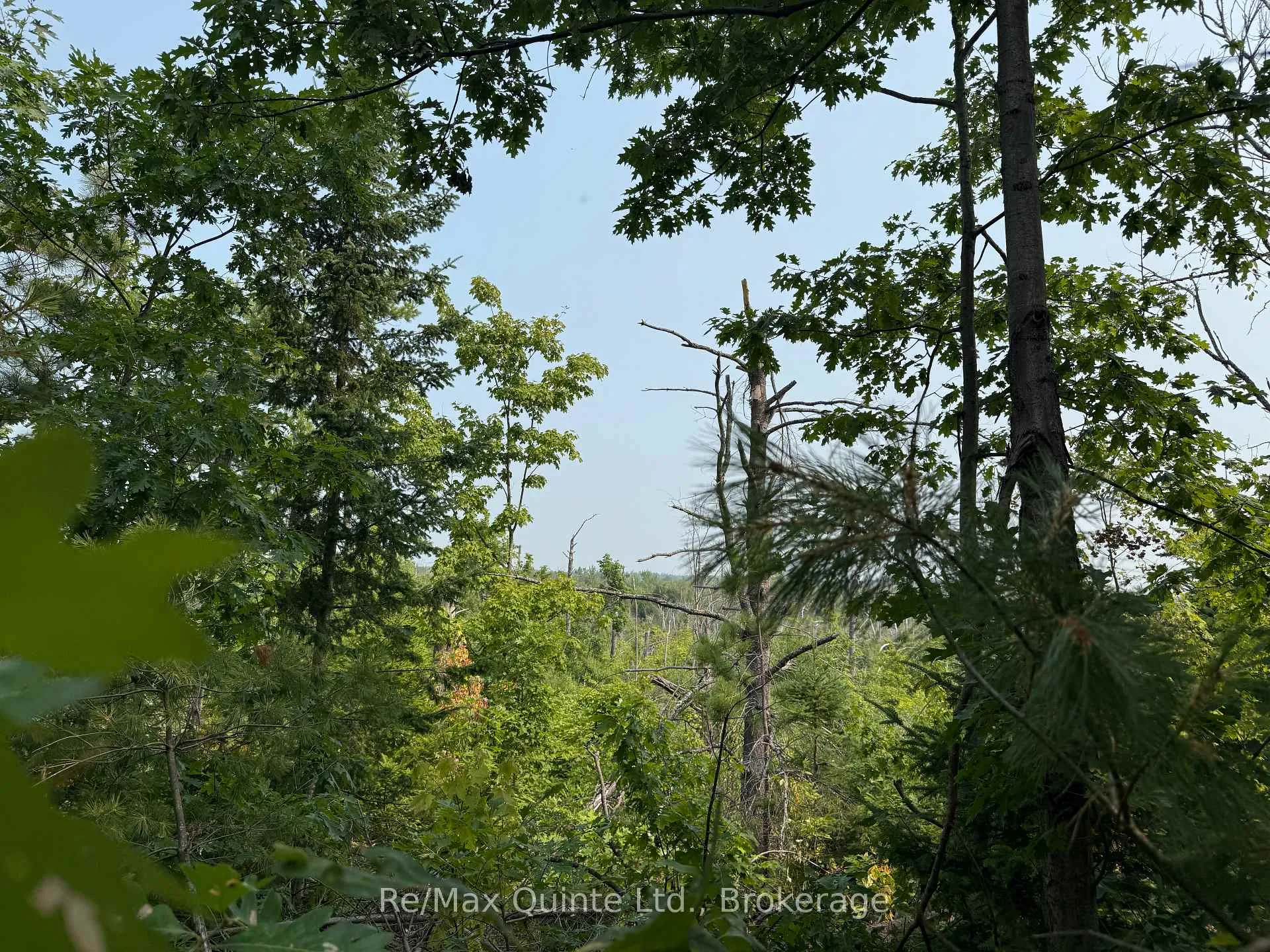 Photo 3 of Potter Settlement Road, Tweed, Hungerford (Twp) — HOMEH