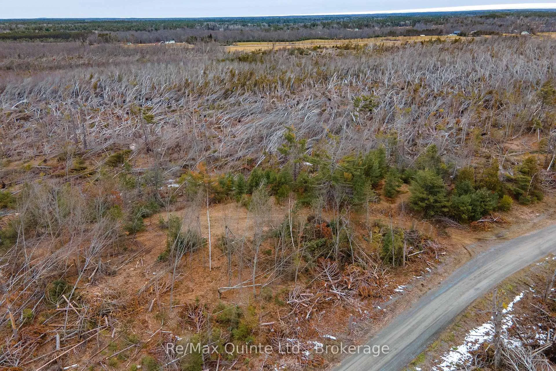 Photo 12 of Potter Settlement Road, Tweed, Hungerford (Twp) — HOMEH