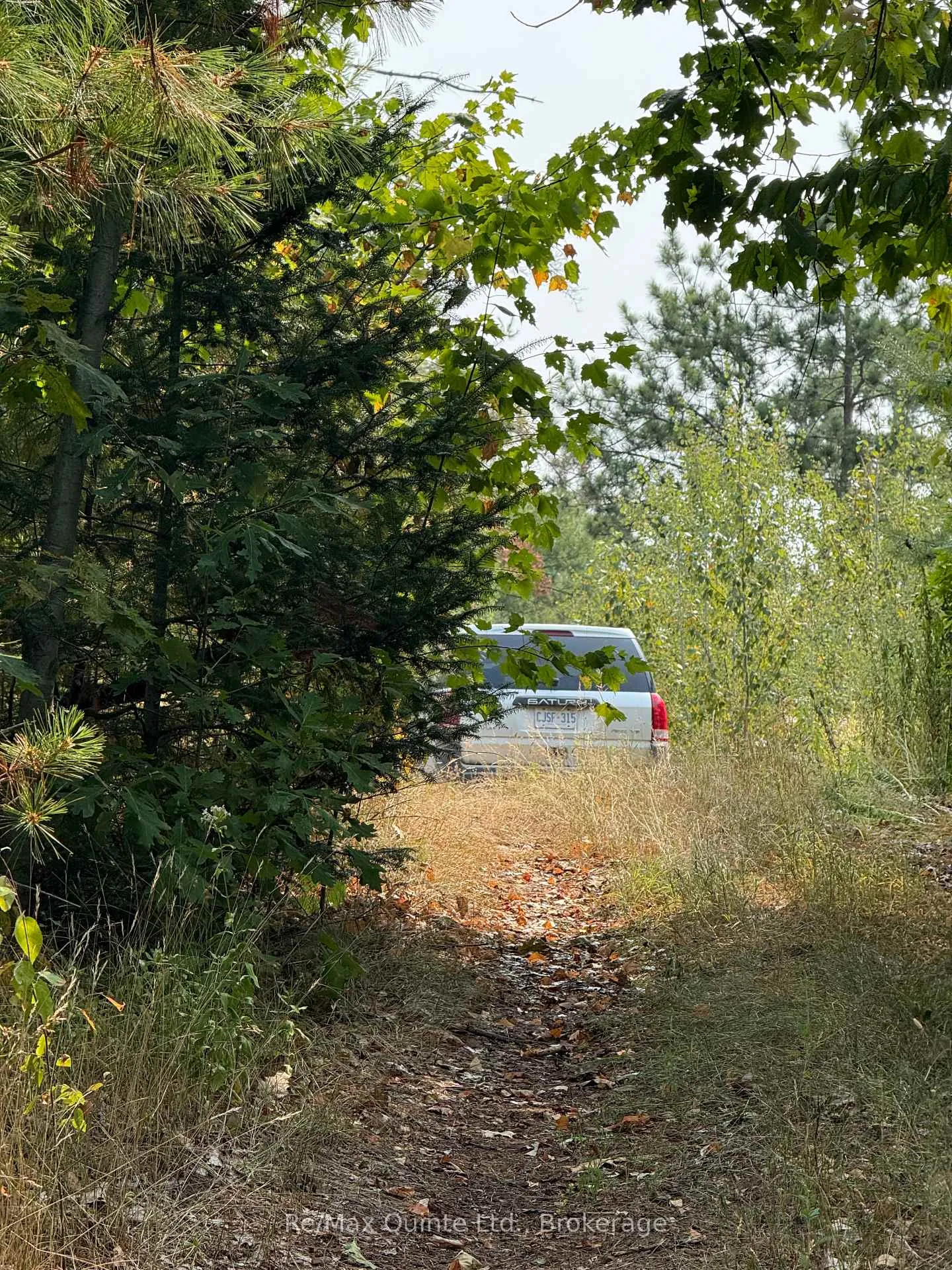 Photo 13 of Potter Settlement Road, Tweed, Hungerford (Twp) — HOMEH