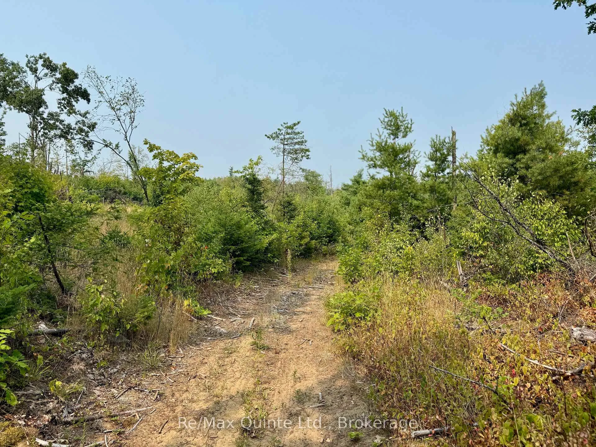 Photo 16 of Potter Settlement Road, Tweed, Hungerford (Twp) — HOMEH