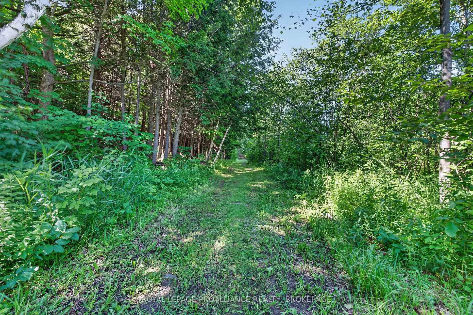 Photo 40 of 3318 Desert Lake Road, Frontenac, Frontenac South — HOMEH