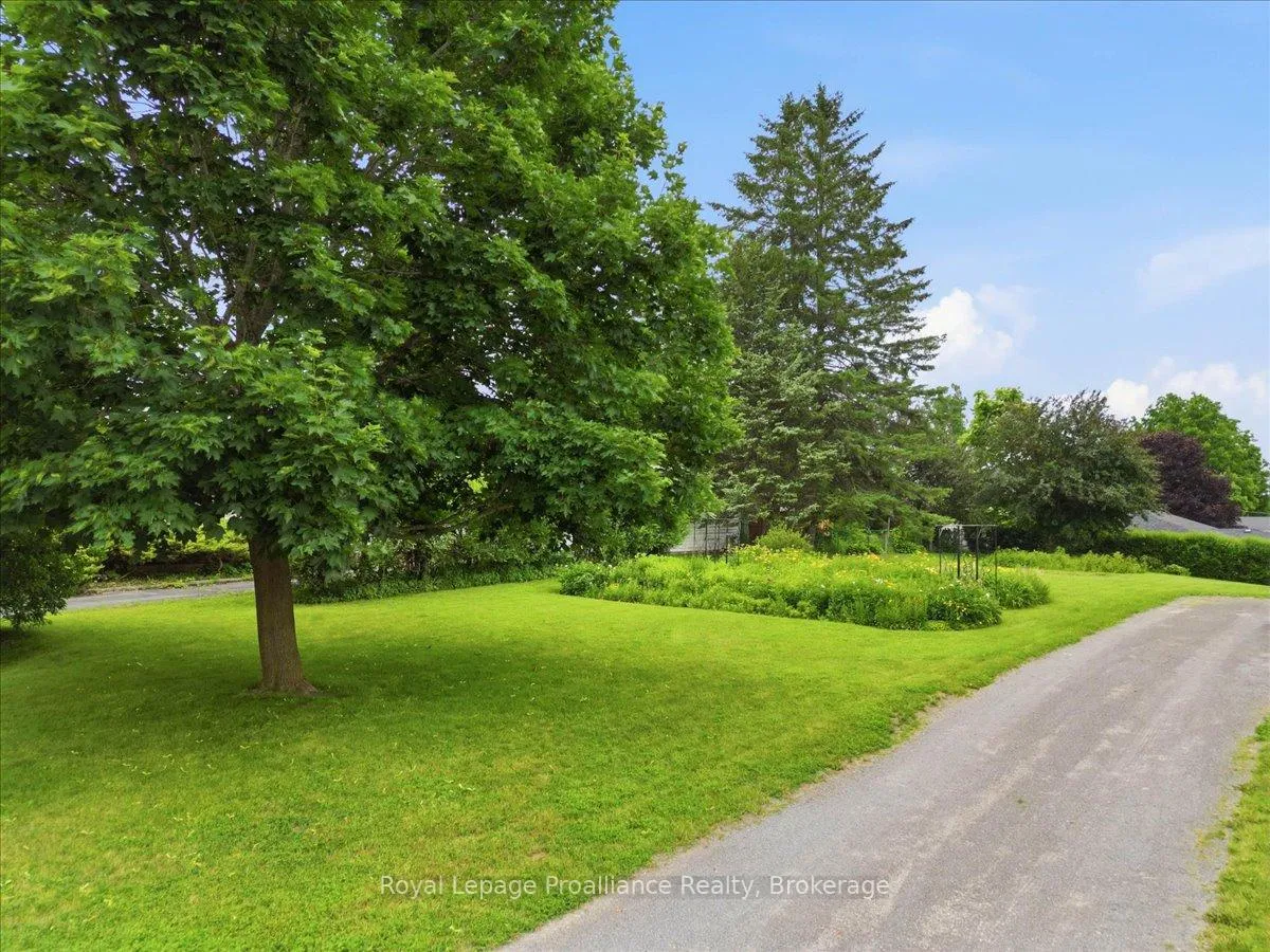 Photo 4 of 183 Baker Street, Stirling-Rawdon, Stirling Ward — HOMEH