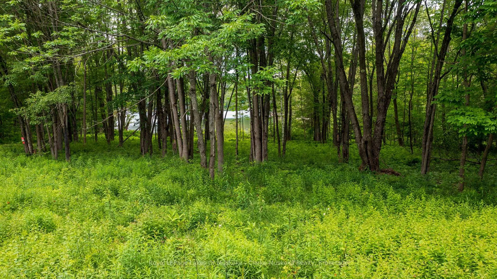 Photo 10 of Maplehurst Road, Seguin — HOMEH