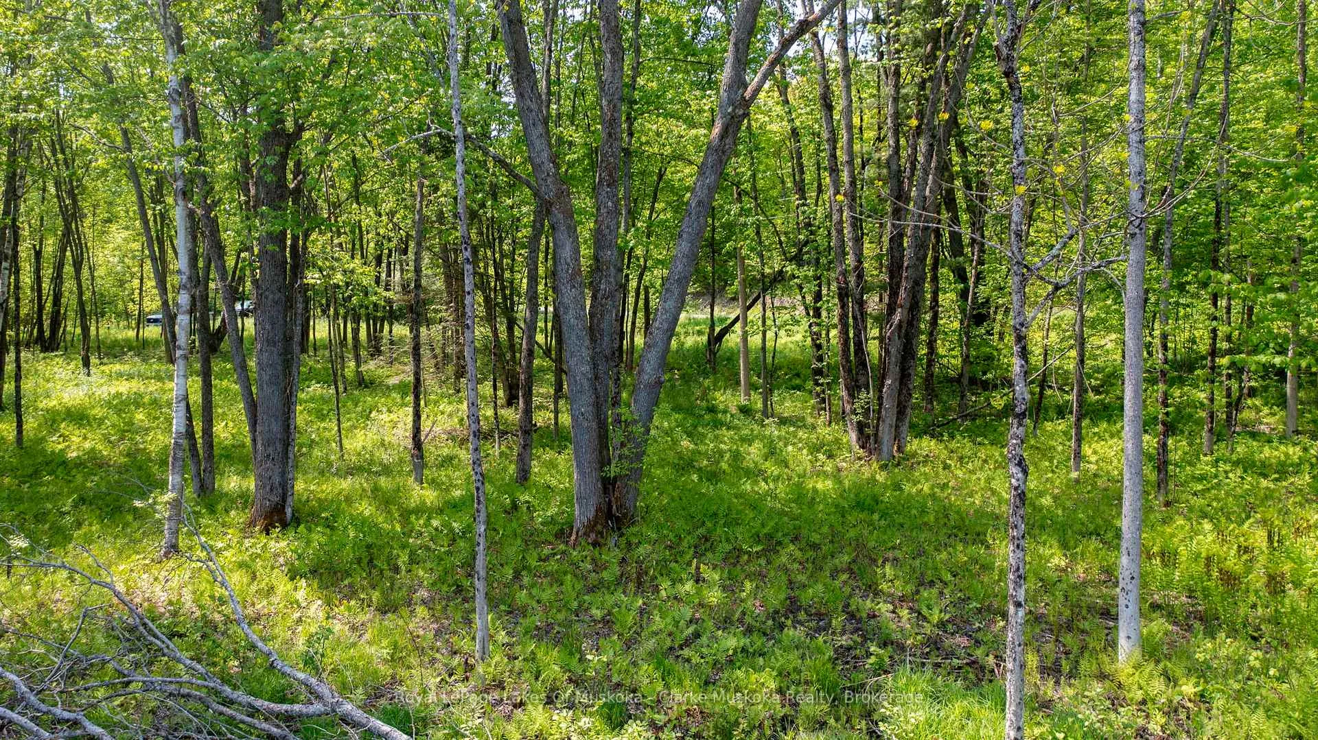 Photo 11 of Maplehurst Road, Seguin — HOMEH