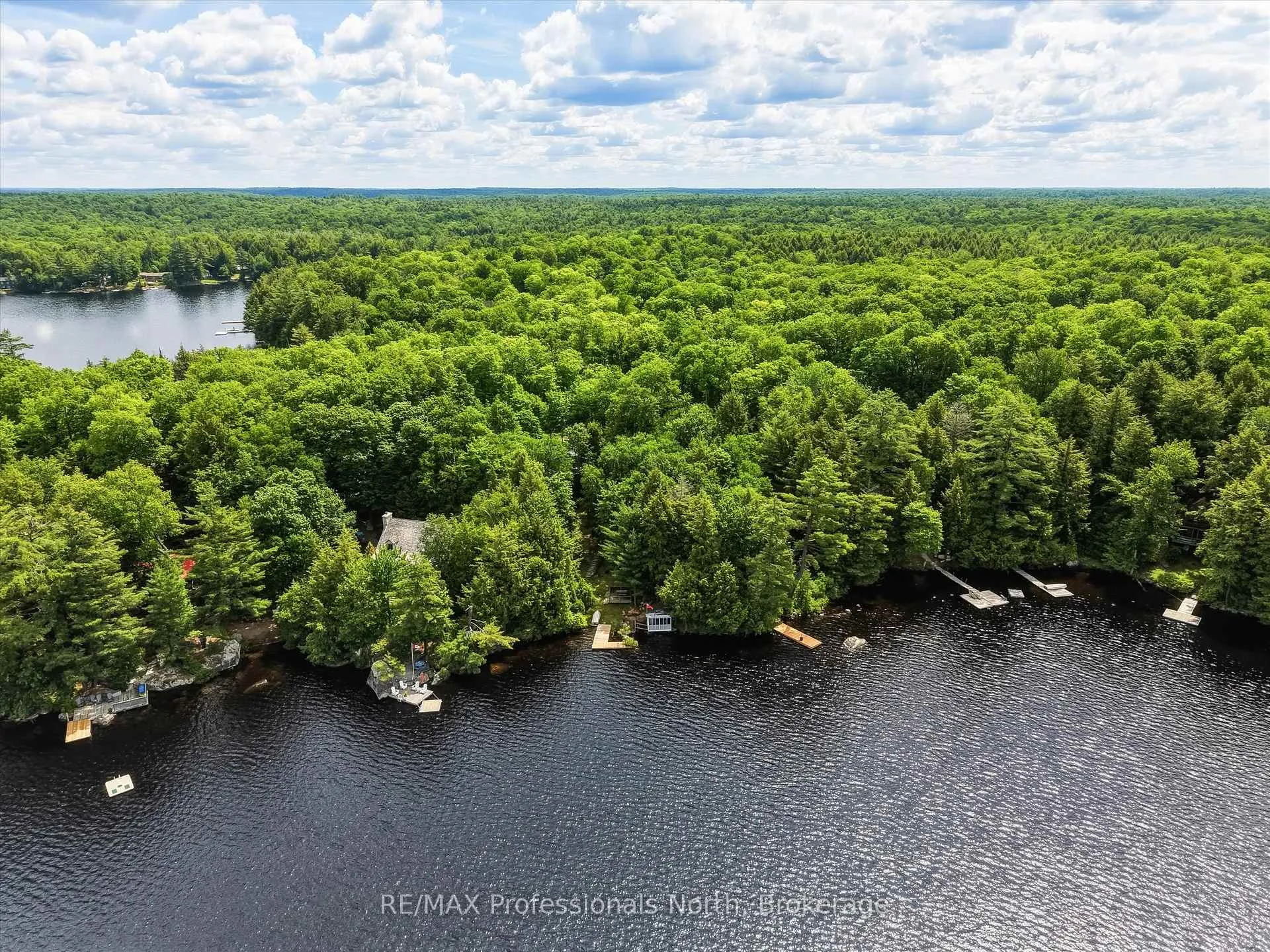Photo 48 of 1007 Leech Lake Point Road, Bracebridge, Oakley — HOMEH