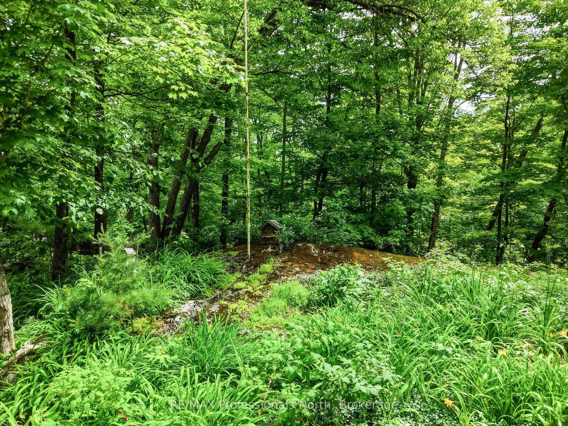 Photo 8 of 1007 Leech Lake Point Road, Bracebridge, Oakley — HOMEH