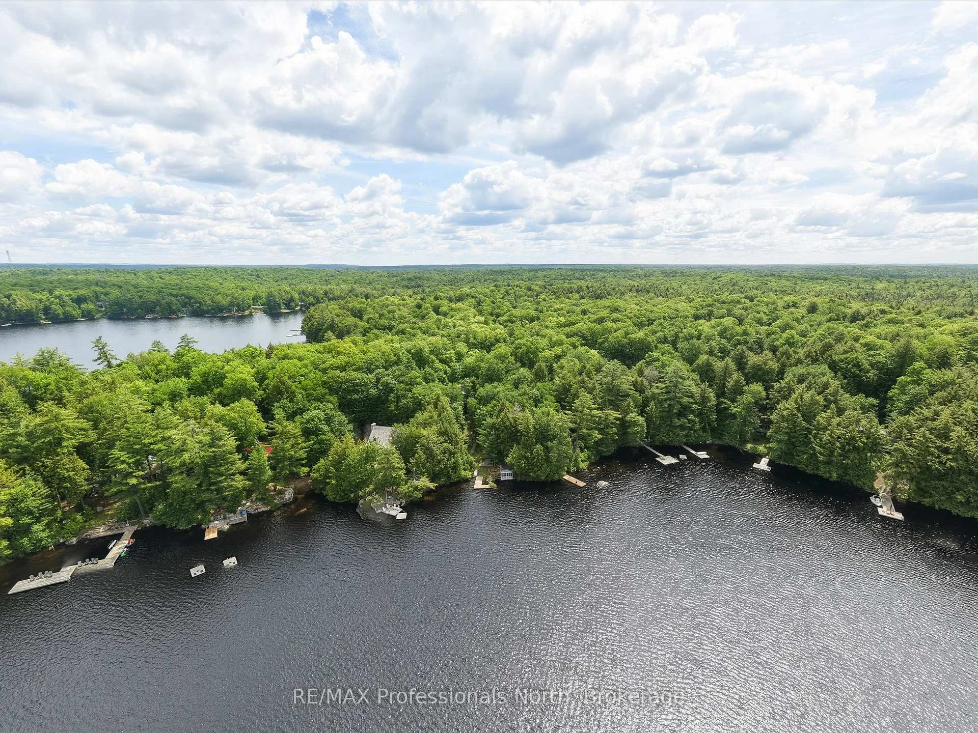 Photo 50 of 1007 Leech Lake Point Road, Bracebridge, Oakley — HOMEH
