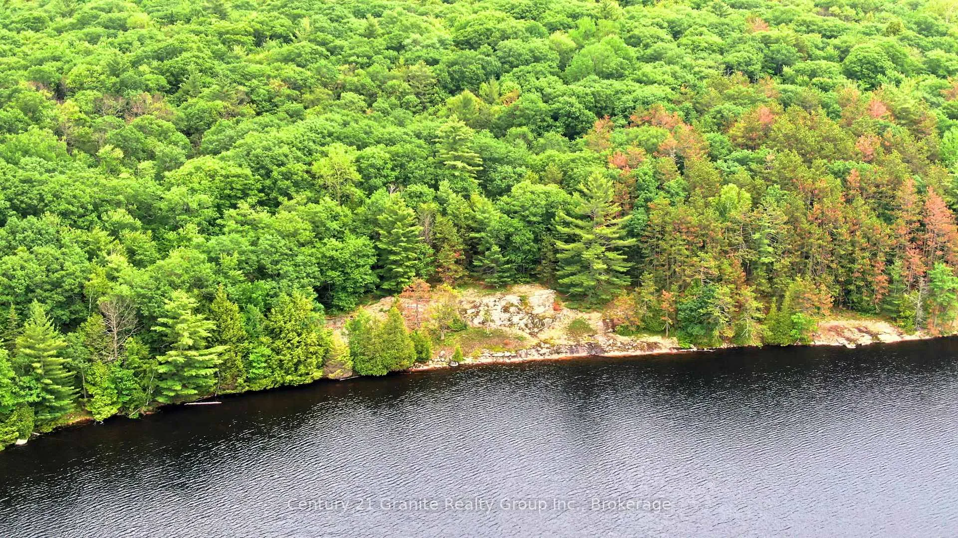 Photo 8 of West Eels Lake Road, North Kawartha — HOMEH