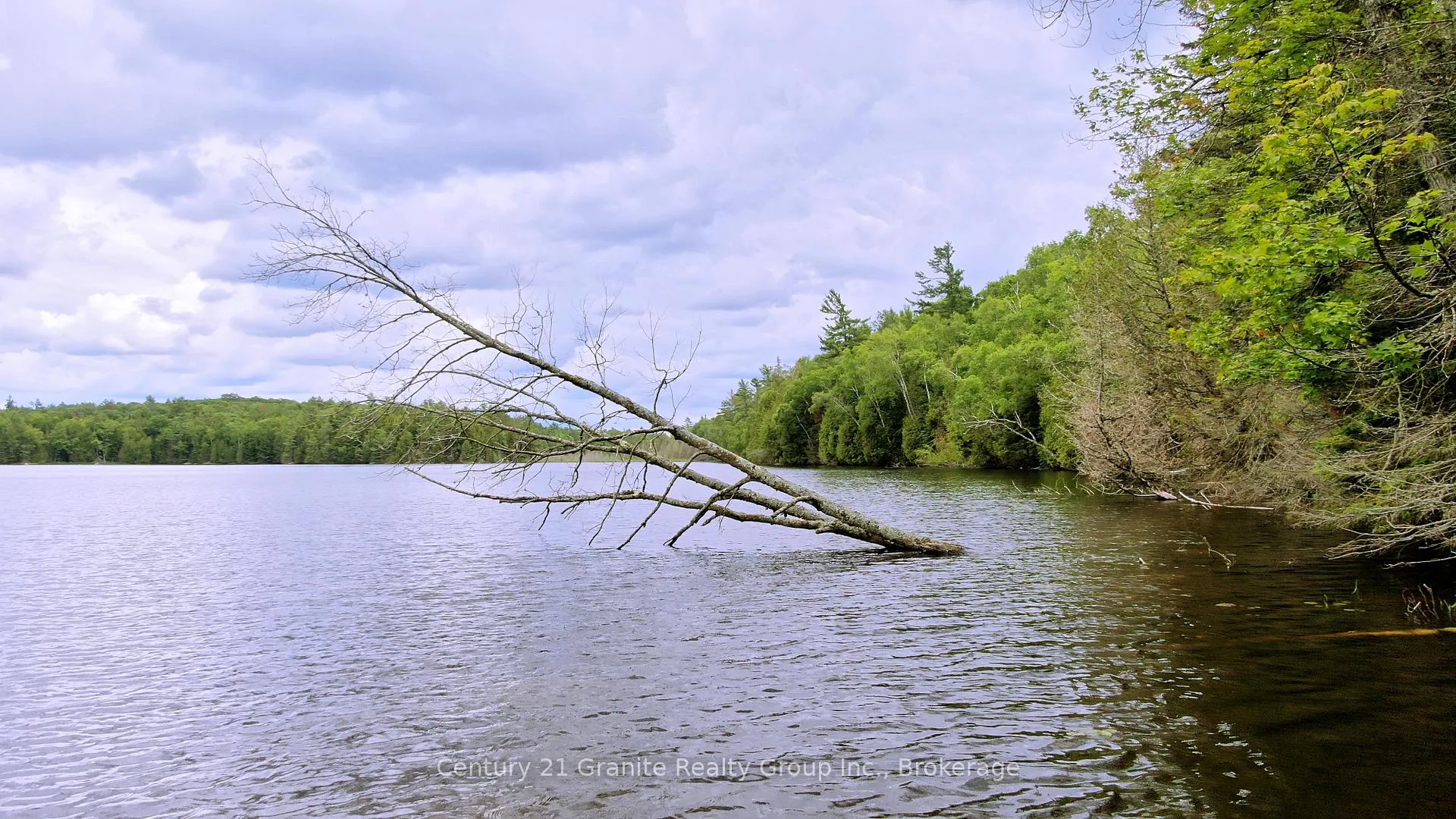 Photo 12 of West Eels Lake Road, North Kawartha — HOMEH