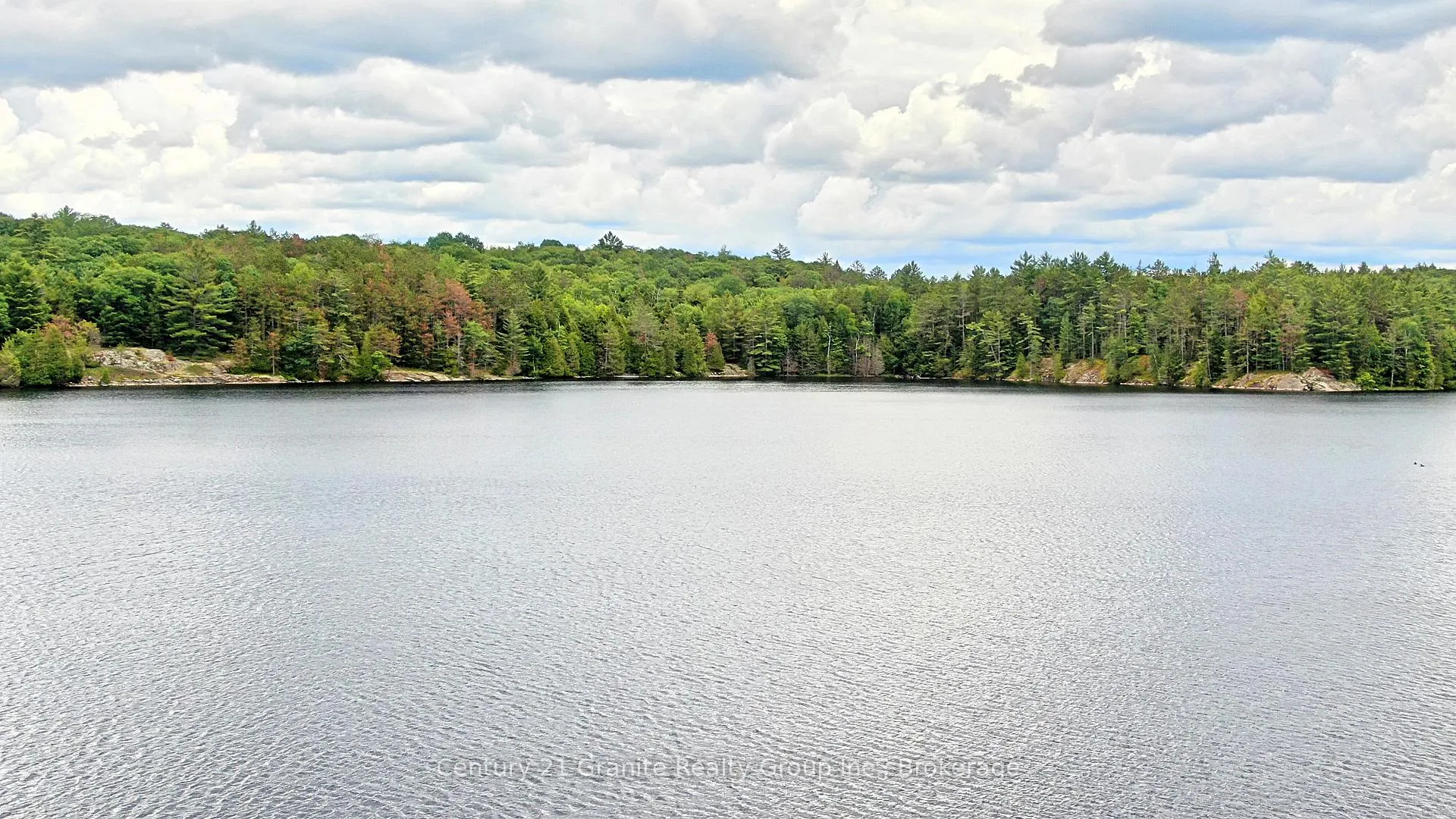 Photo 16 of West Eels Lake Road, North Kawartha — HOMEH