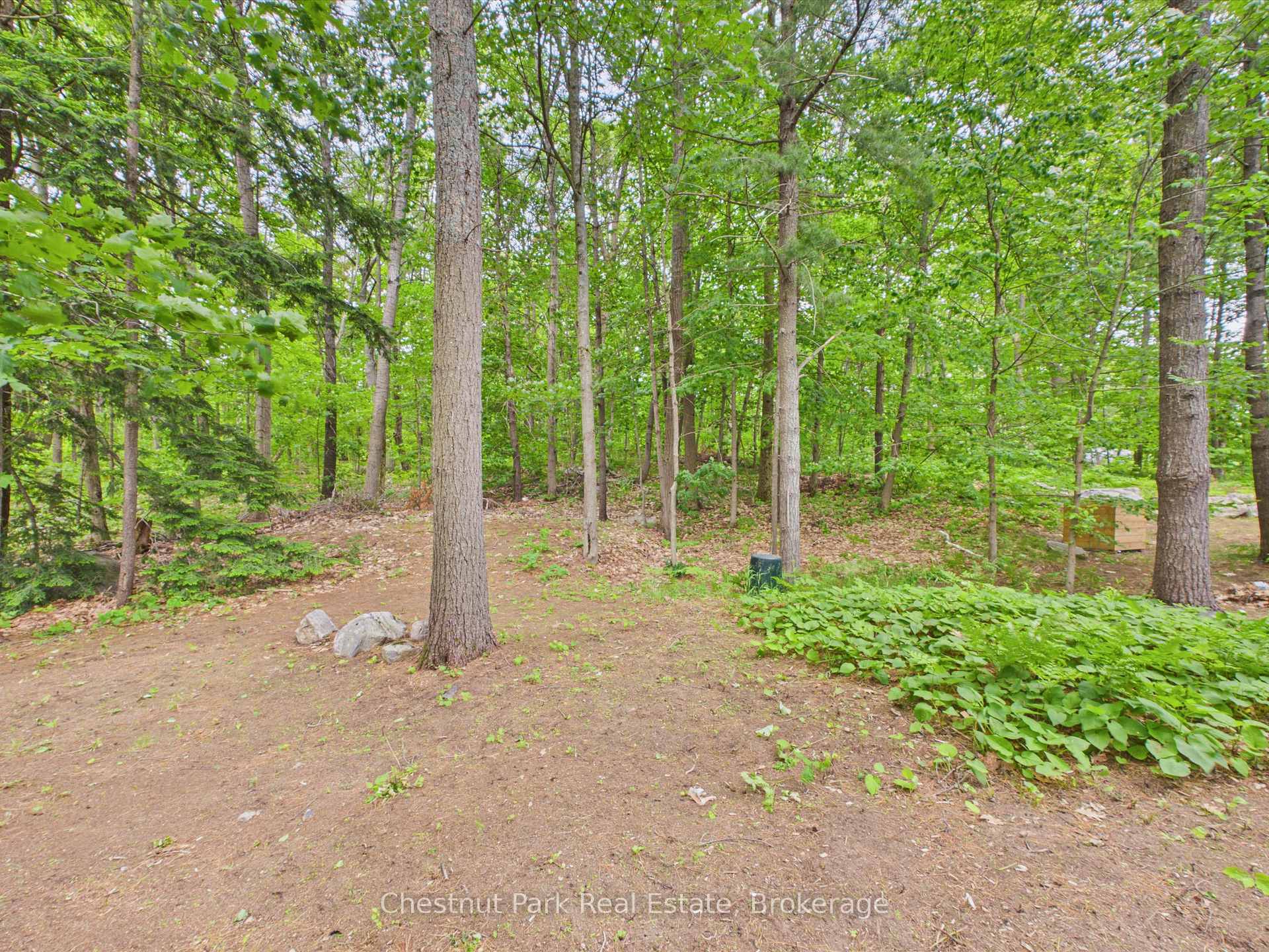 Photo 38 of 51 Taylor Island, Gravenhurst, Muskoka (S) — HOMEH
