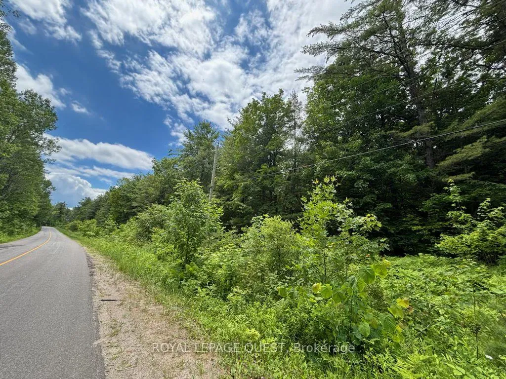 Photo 2 of 2159 Southwood Road, Gravenhurst, Morrison — HOMEH