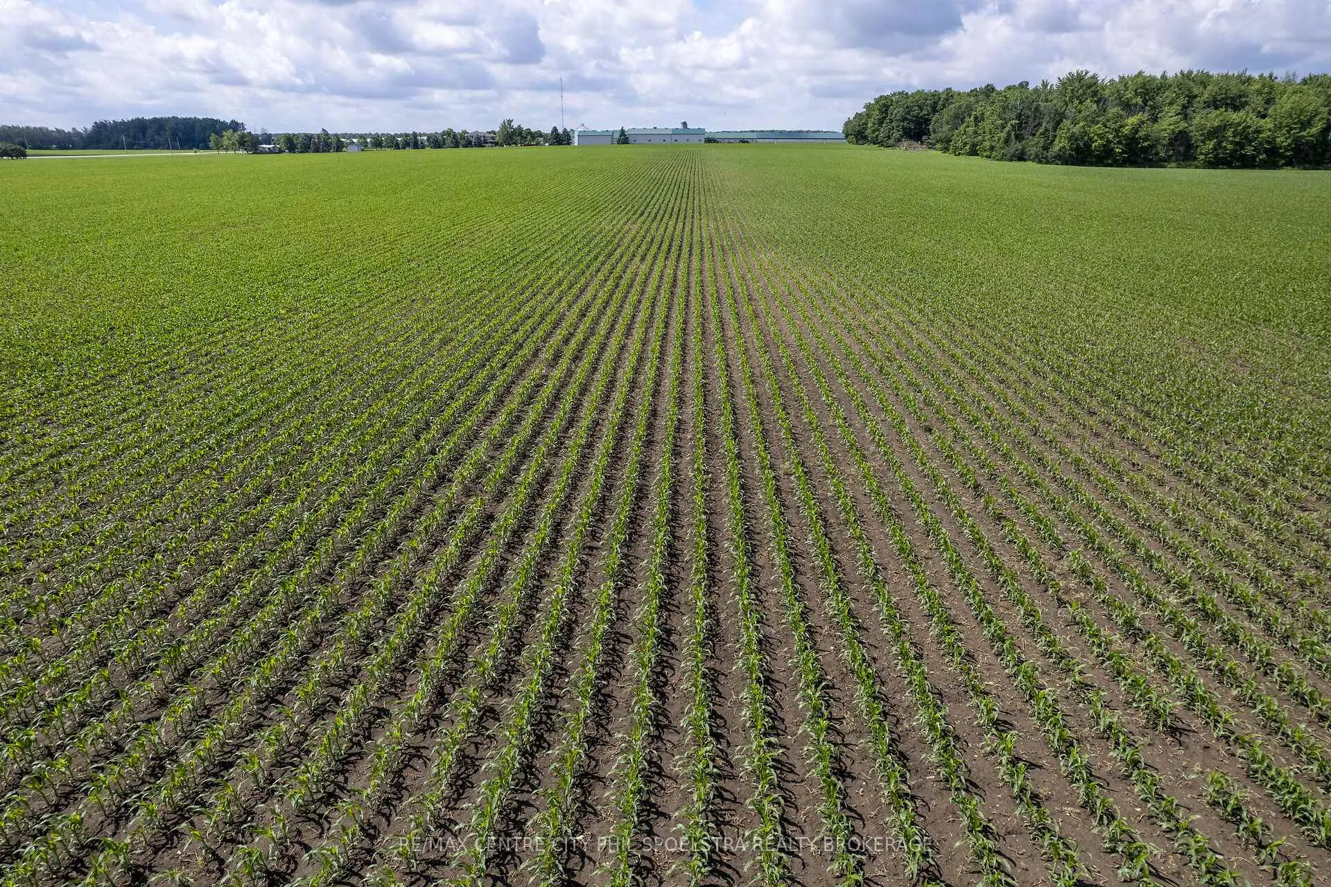 Photo 5 of 6928 Wellington Road 10, Mapleton, Rural Mapleton — HOMEH