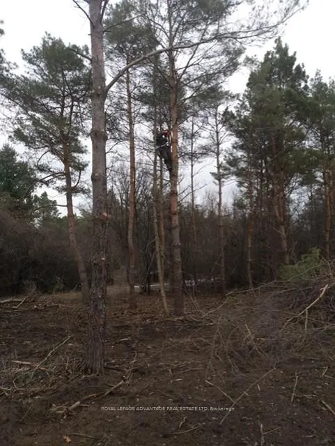 Photo 4 of 120 Boat Launch Road E, Montague, Montague Twp — HOMEH