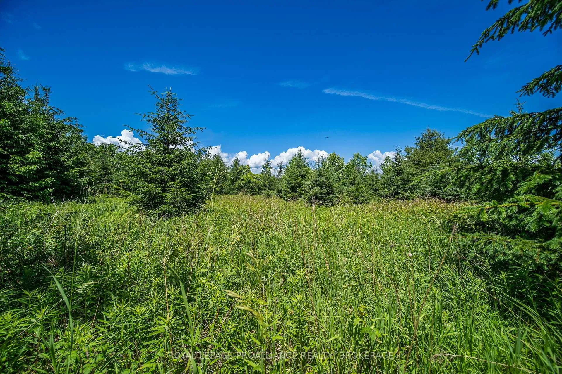 Photo 10 of PT LT 18 Front Road, Loyalist, Amherst Island — HOMEH