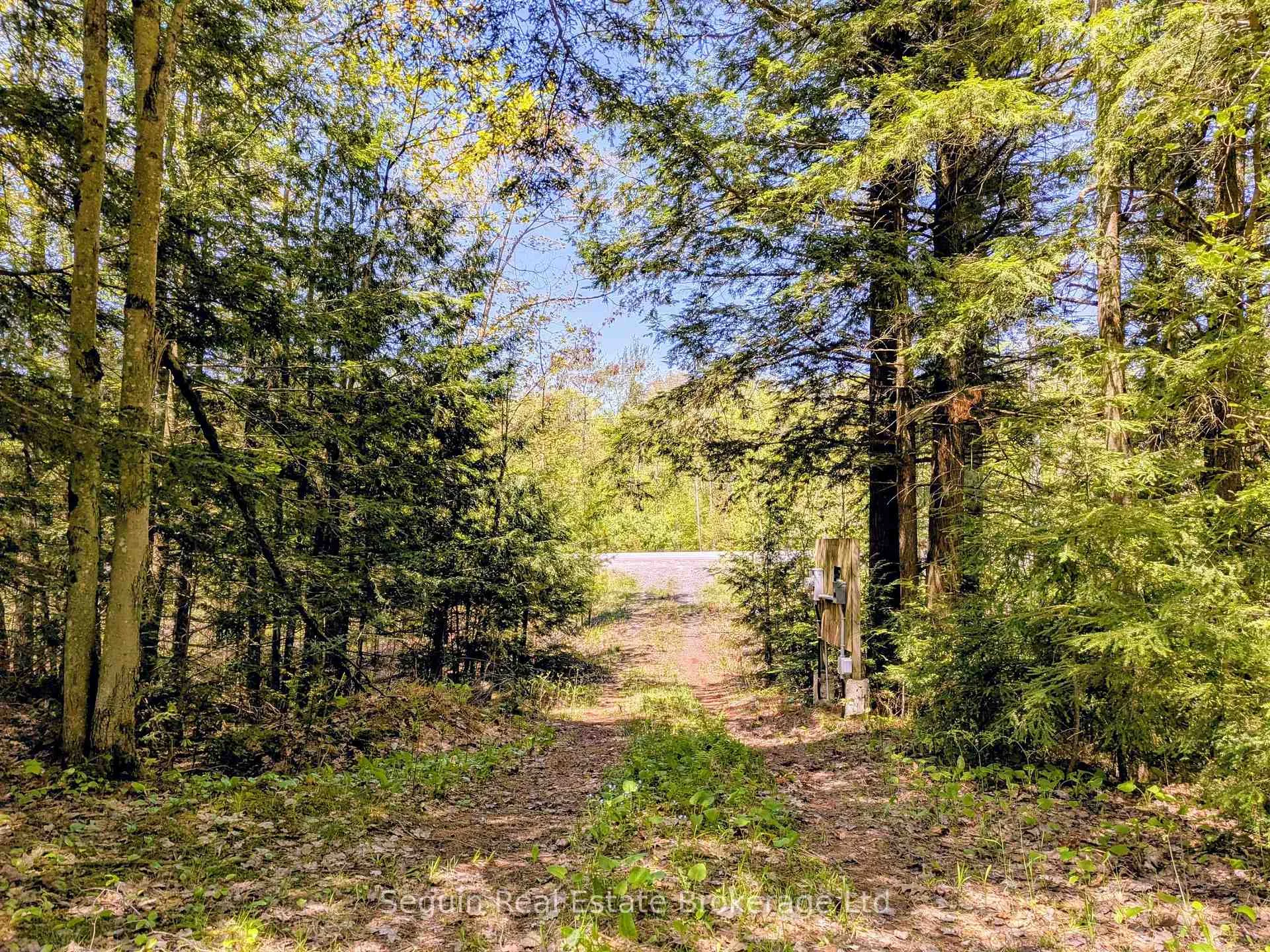 Photo 8 of 463 Highway 518, Seguin — HOMEH